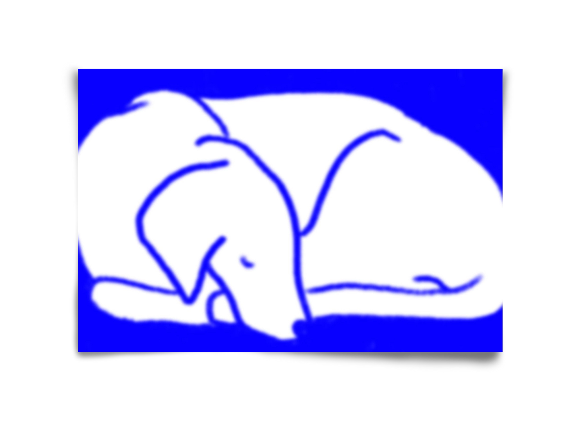 Good Night Blurry Dog, 45x30 cm, Keret nélkül