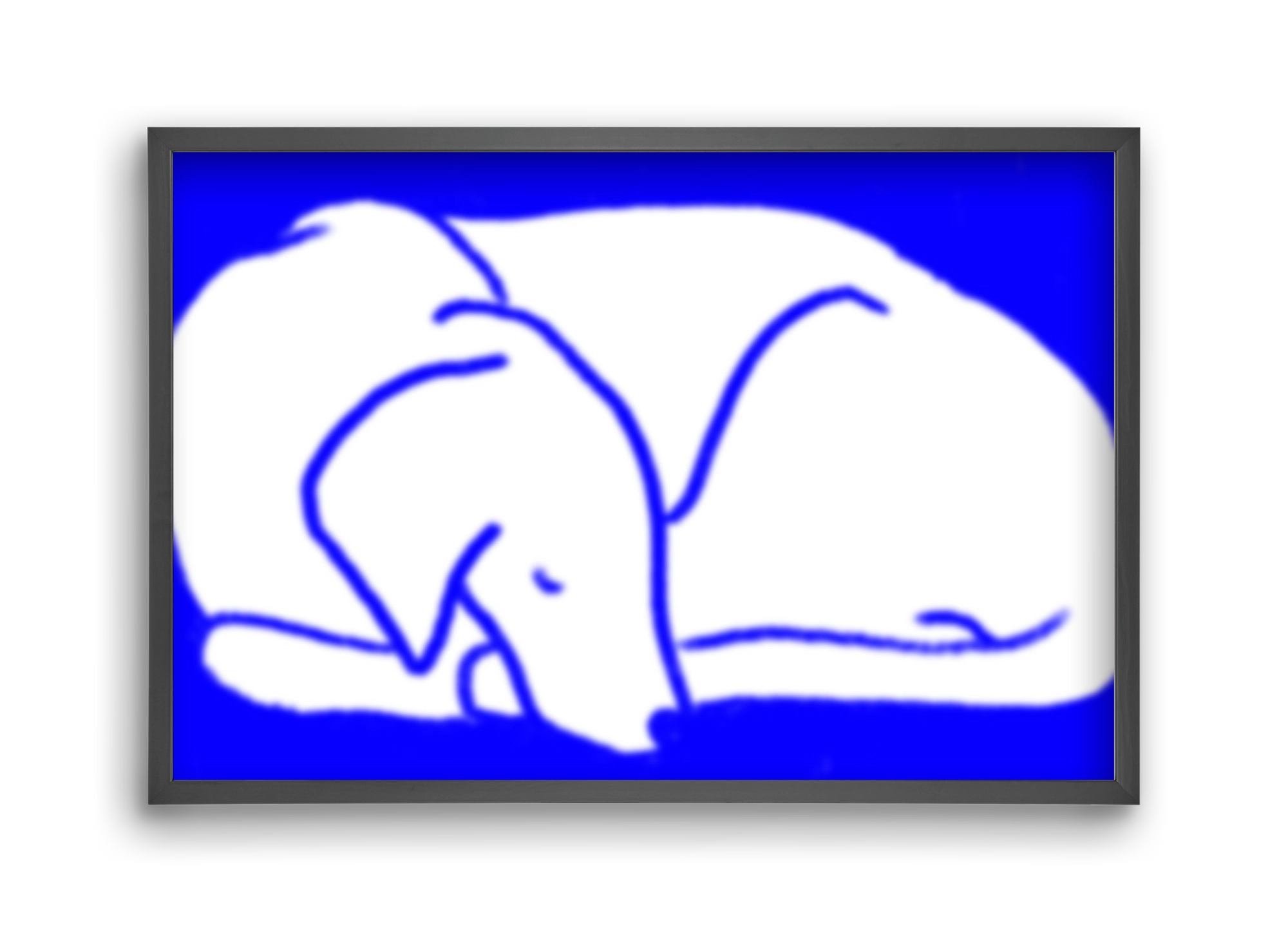 Good Night Blurry Dog, 45x30 cm (45x30 cm), Fekete keret