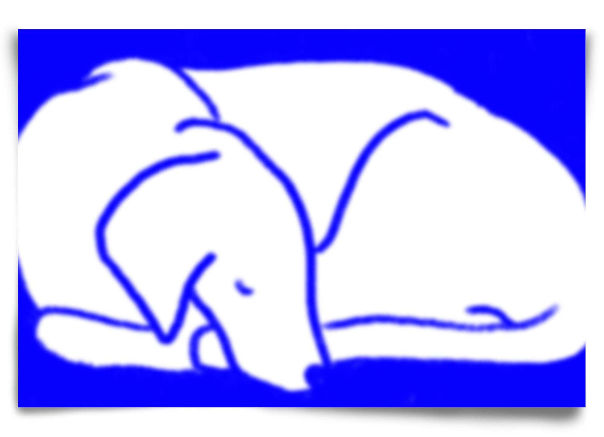 Good Night Blurry Dog, 90x60 cm, Keret nélkül