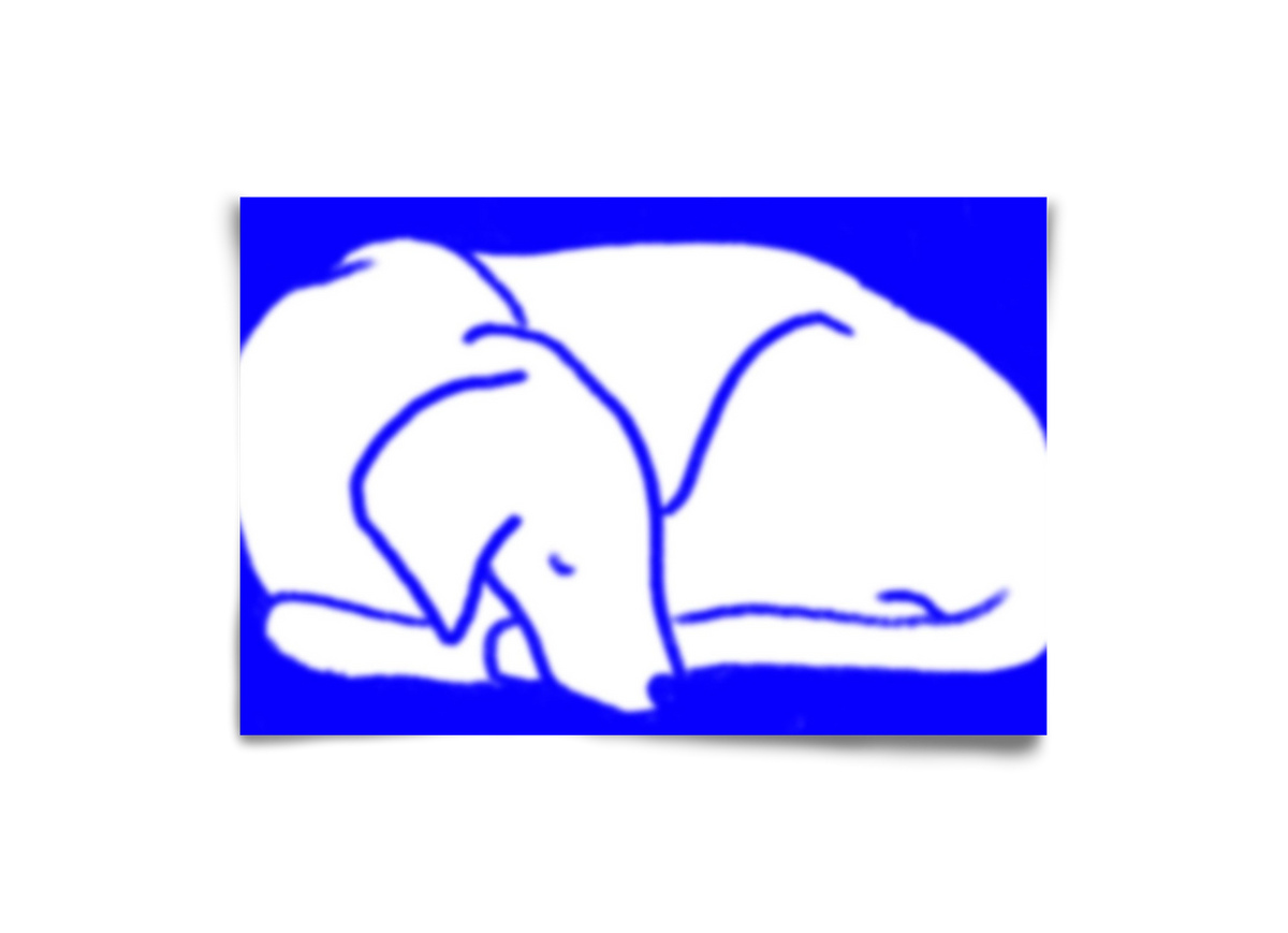 Good Night Blurry Dog, 30x20 cm, Keret nélkül