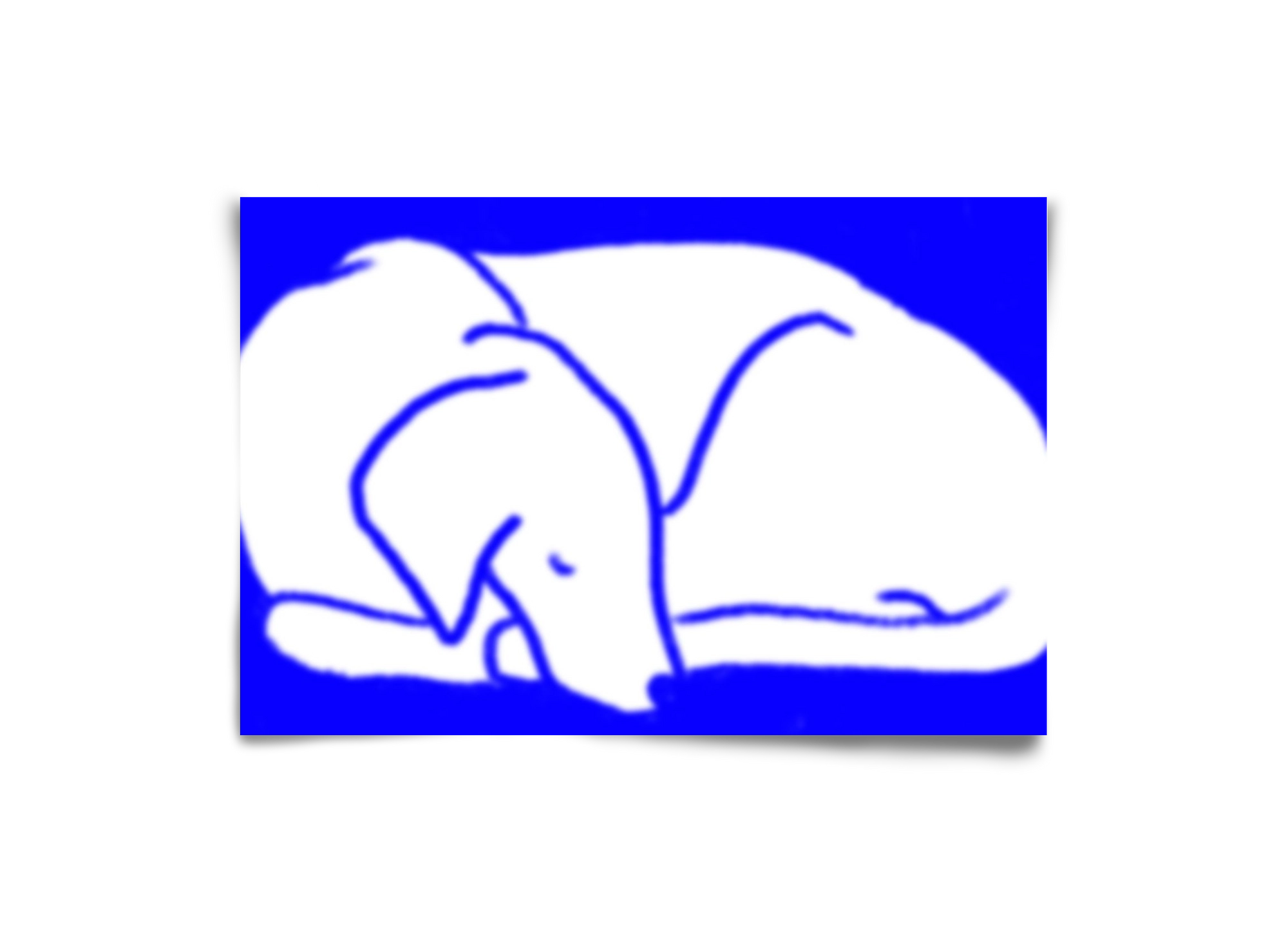 Good Night Blurry Dog, 30x20 cm, Keret nélkül