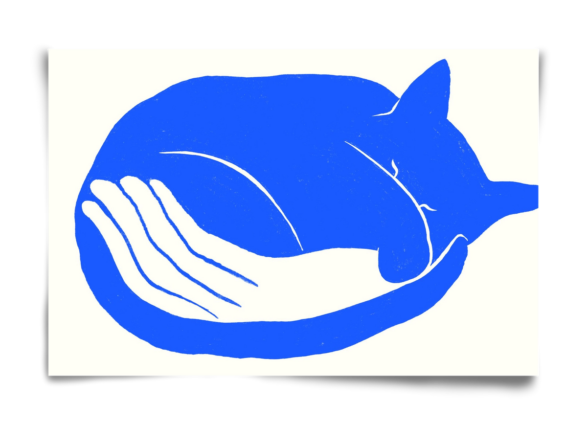 Cosy Cat, 60x40 cm, Keret nélkül