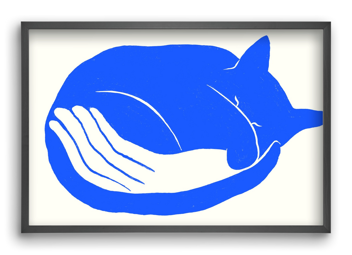 Cosy Cat, 60x40 cm (60x40 cm), Fekete keret