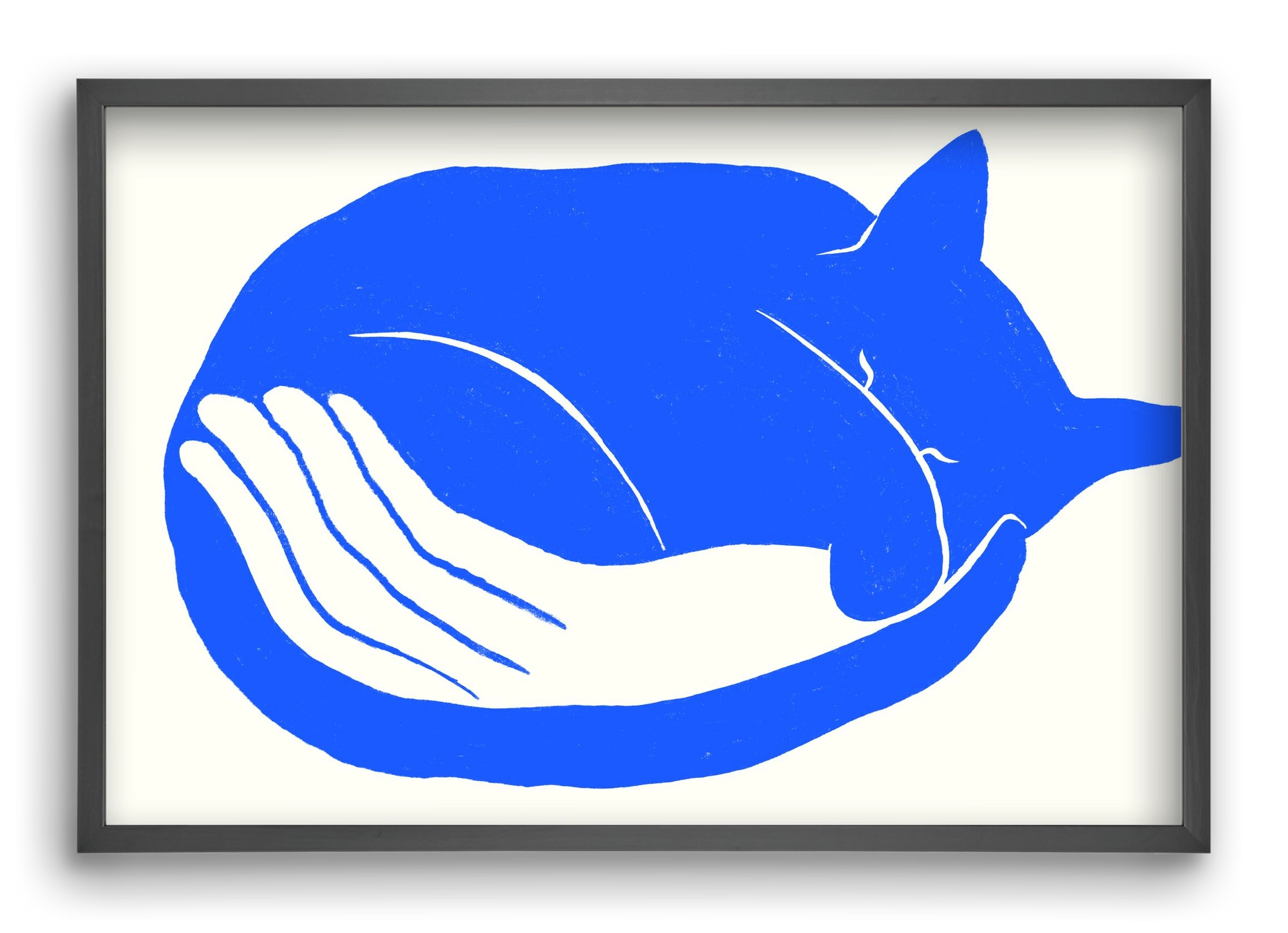 Cosy Cat, 60x40 cm (60x40 cm), Fekete keret