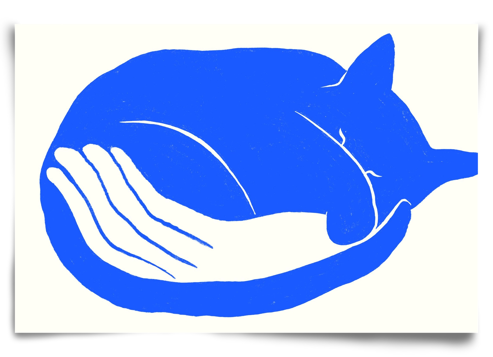 Cosy Cat, 90x60 cm, Keret nélkül