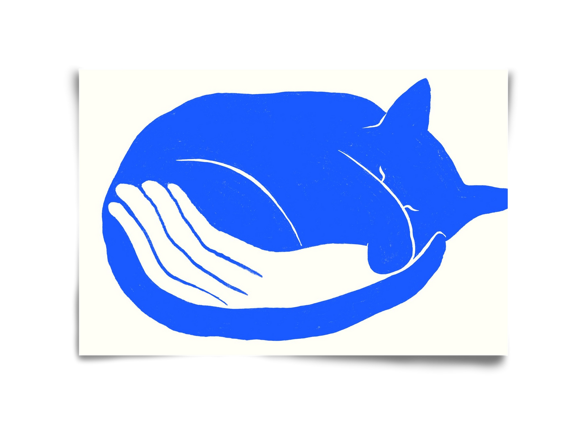 Cosy Cat, 45x30 cm, Keret nélkül