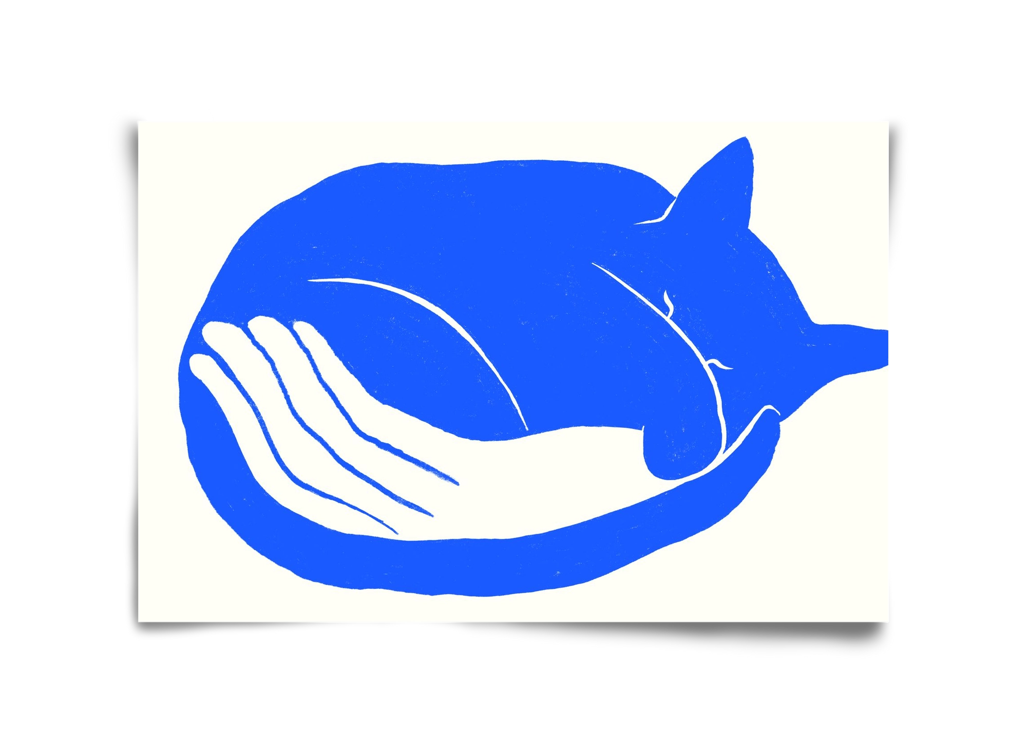 Cosy Cat, 45x30 cm, Keret nélkül