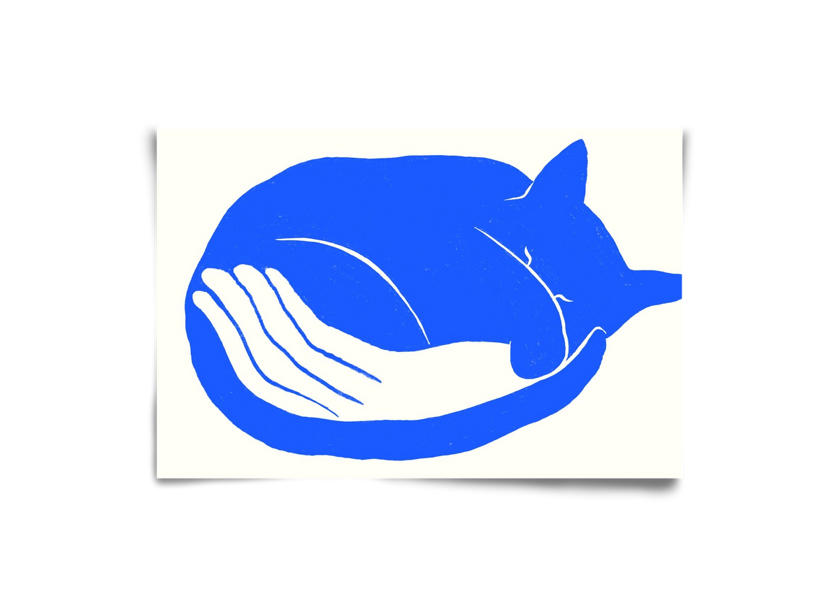 Cosy Cat, 30x20 cm, Keret nélkül