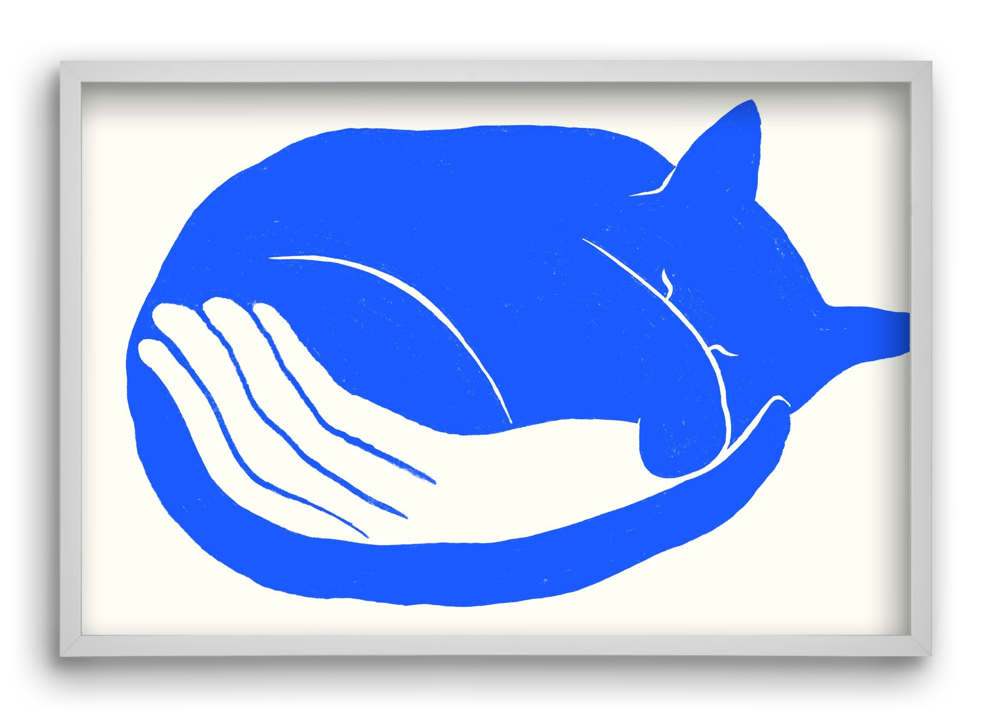 Cosy Cat, 60x40 cm (60x40 cm), Fehér keret