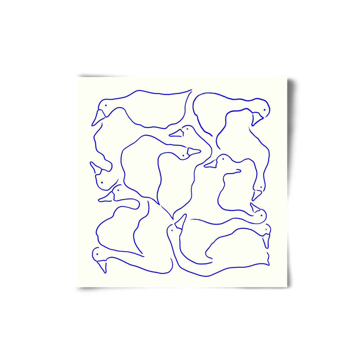 Duck Duck Goose in Blue, 20x20 cm, Keret nélkül