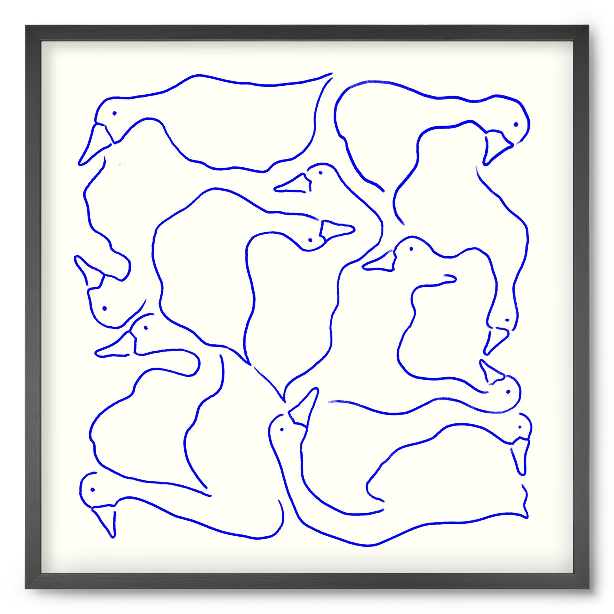 Duck Duck Goose in Blue, 50x50 cm (50x50 cm), Fekete keret