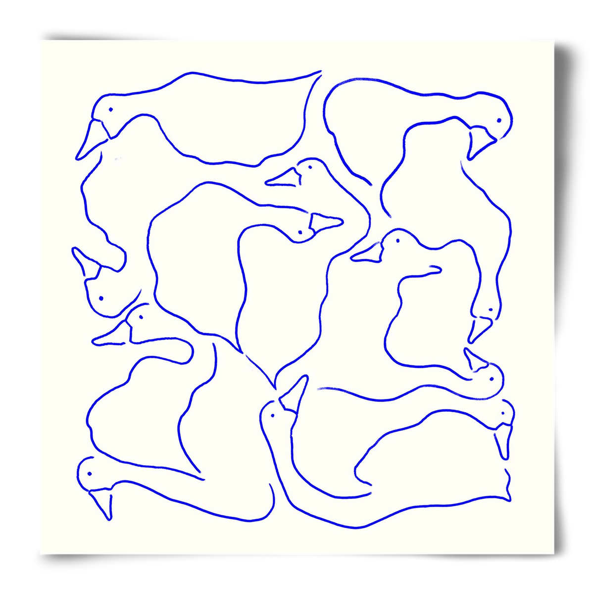 Duck Duck Goose in Blue, 50x50 cm, Keret nélkül