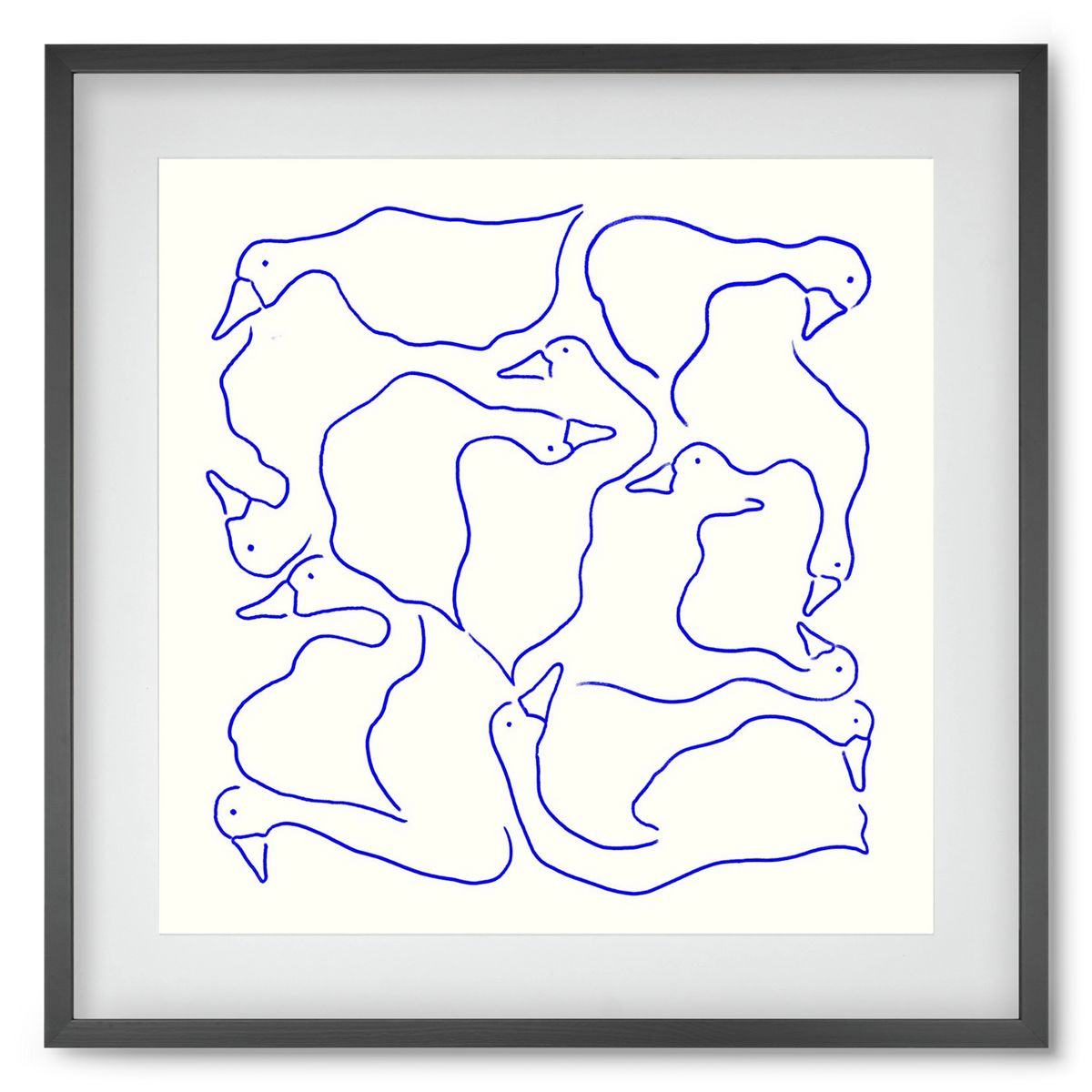Duck Duck Goose in Blue, 50x50 cm (40x40 cm), Fekete keret, paszpartuval