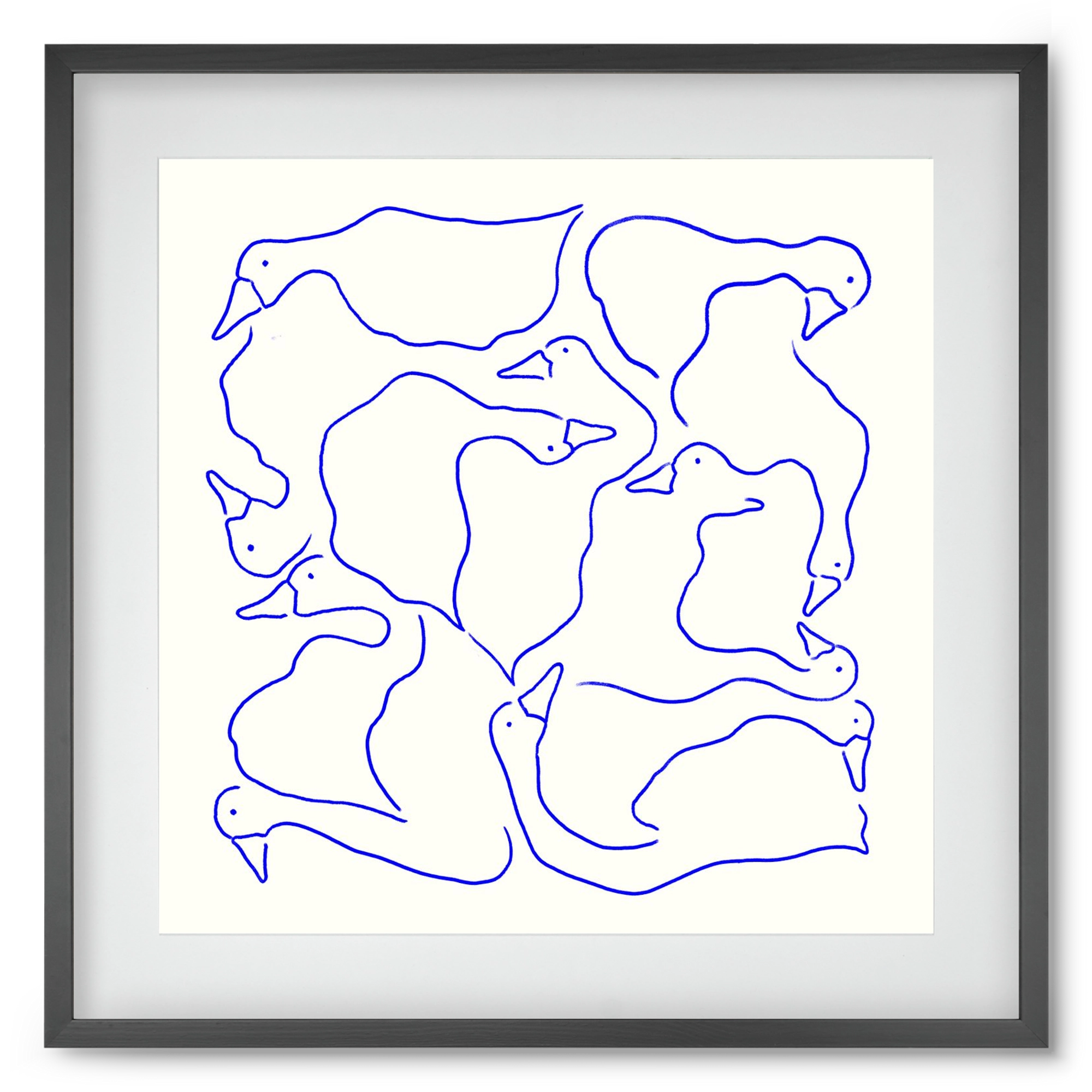 Duck Duck Goose in Blue, 50x50 cm (40x40 cm), Fekete keret, paszpartuval