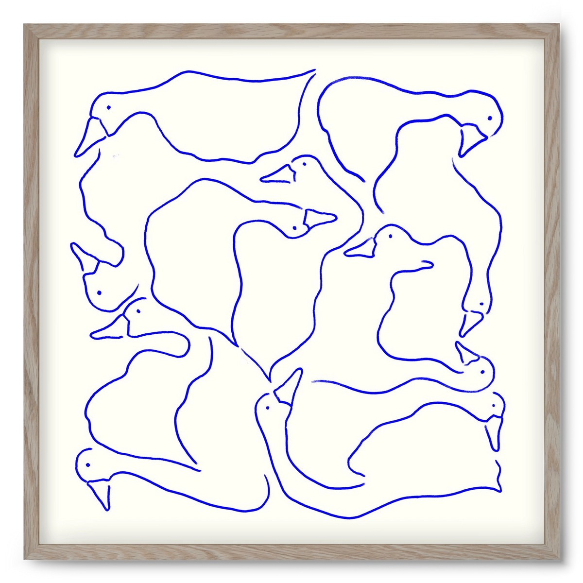Duck Duck Goose in Blue, 50x50 cm (50x50 cm), Tölgy keret