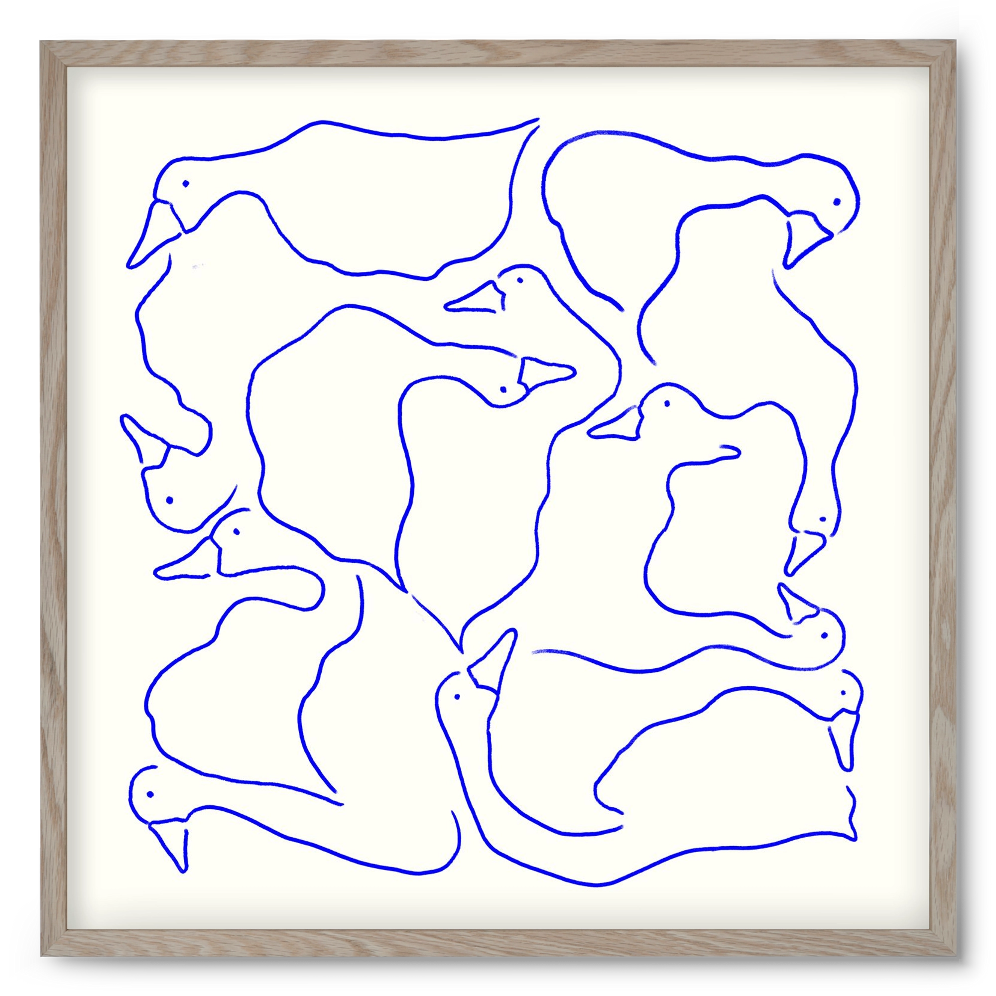 Duck Duck Goose in Blue, 50x50 cm (50x50 cm), Tölgy keret