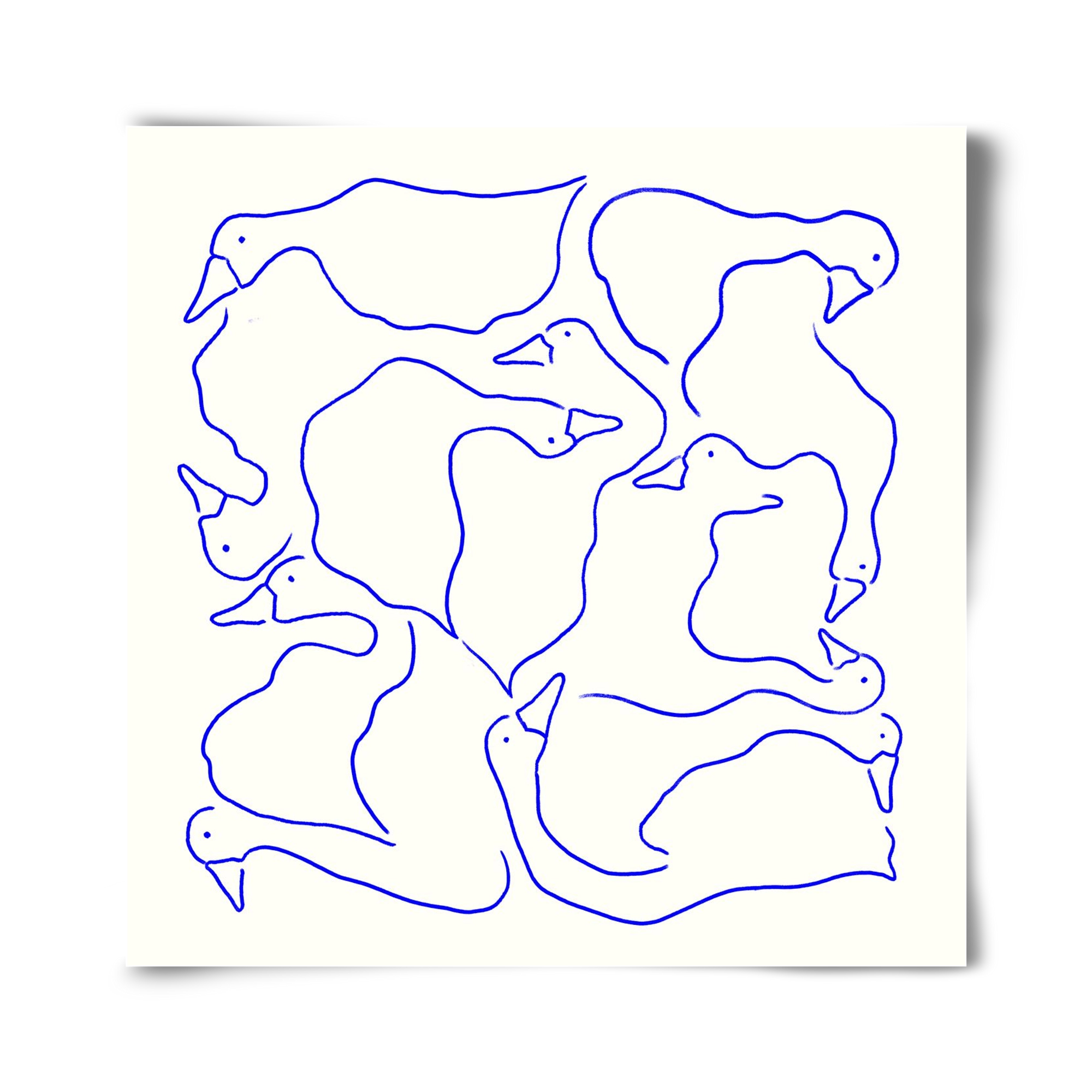 Duck Duck Goose in Blue, 40x40 cm, Keret nélkül