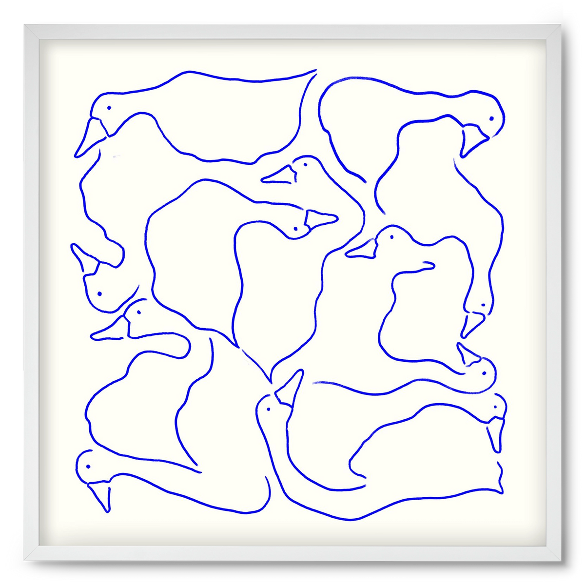 Duck Duck Goose in Blue, 50x50 cm (50x50 cm), Fehér keret