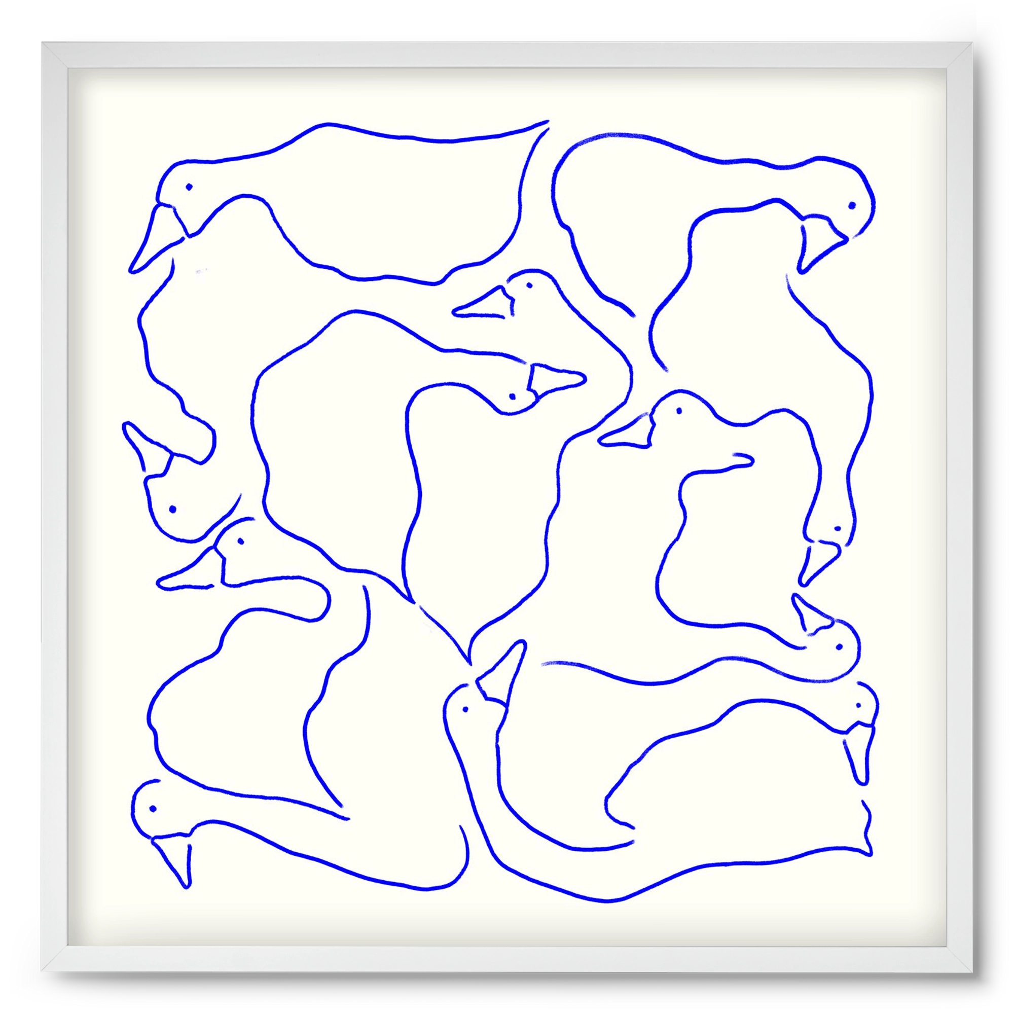 Duck Duck Goose in Blue, 50x50 cm (50x50 cm), Fehér keret