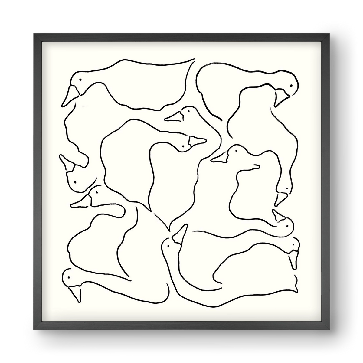 Duck Duck Goose in black and white, 40x40 cm (40x40 cm), Fekete keret