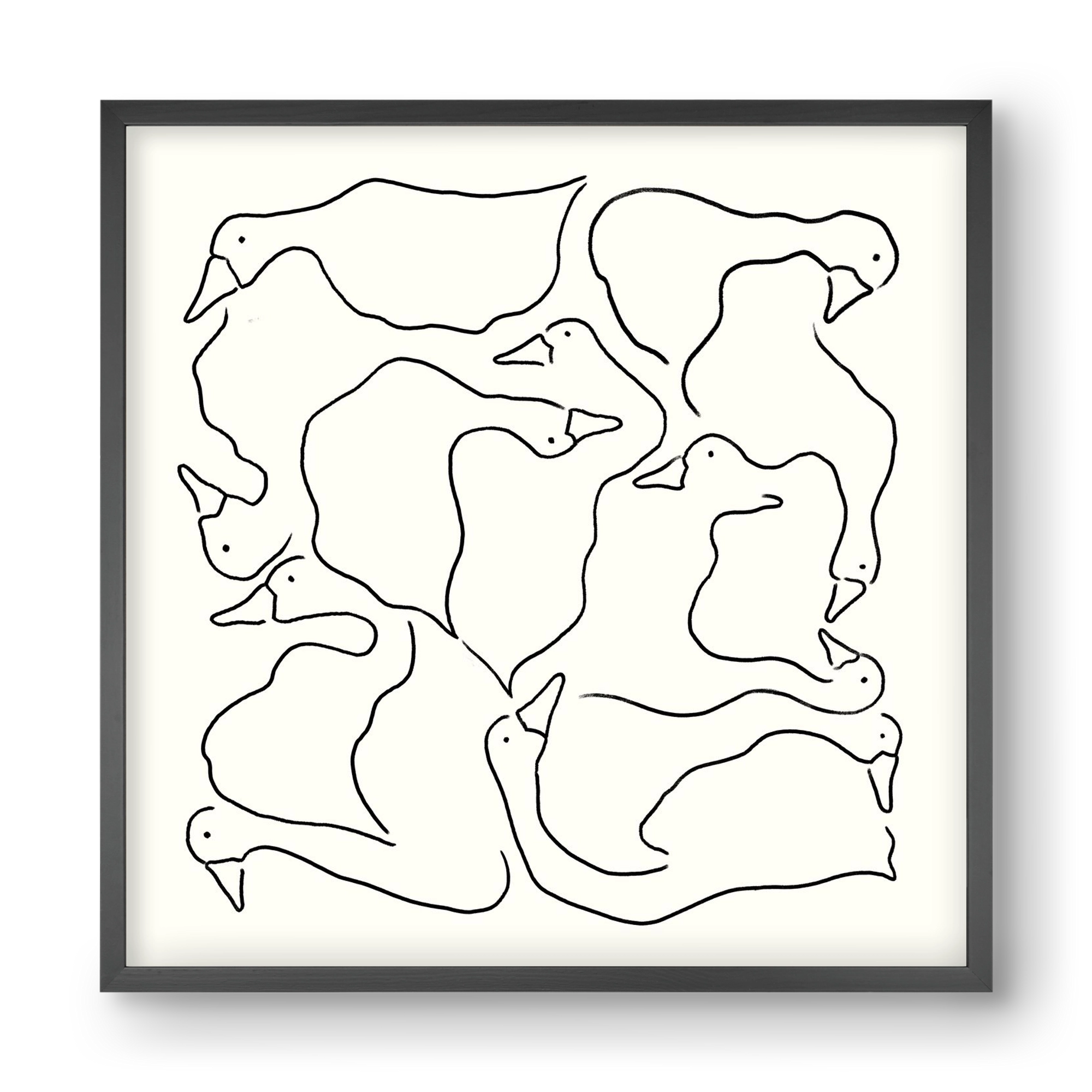 Duck Duck Goose in black and white, 40x40 cm (40x40 cm), Fekete keret