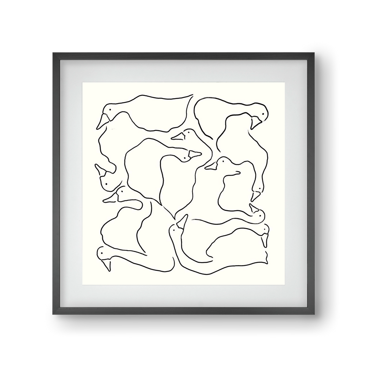 Duck Duck Goose in black and white, 30x30 cm (20x20 cm), Fekete keret, paszpartuval