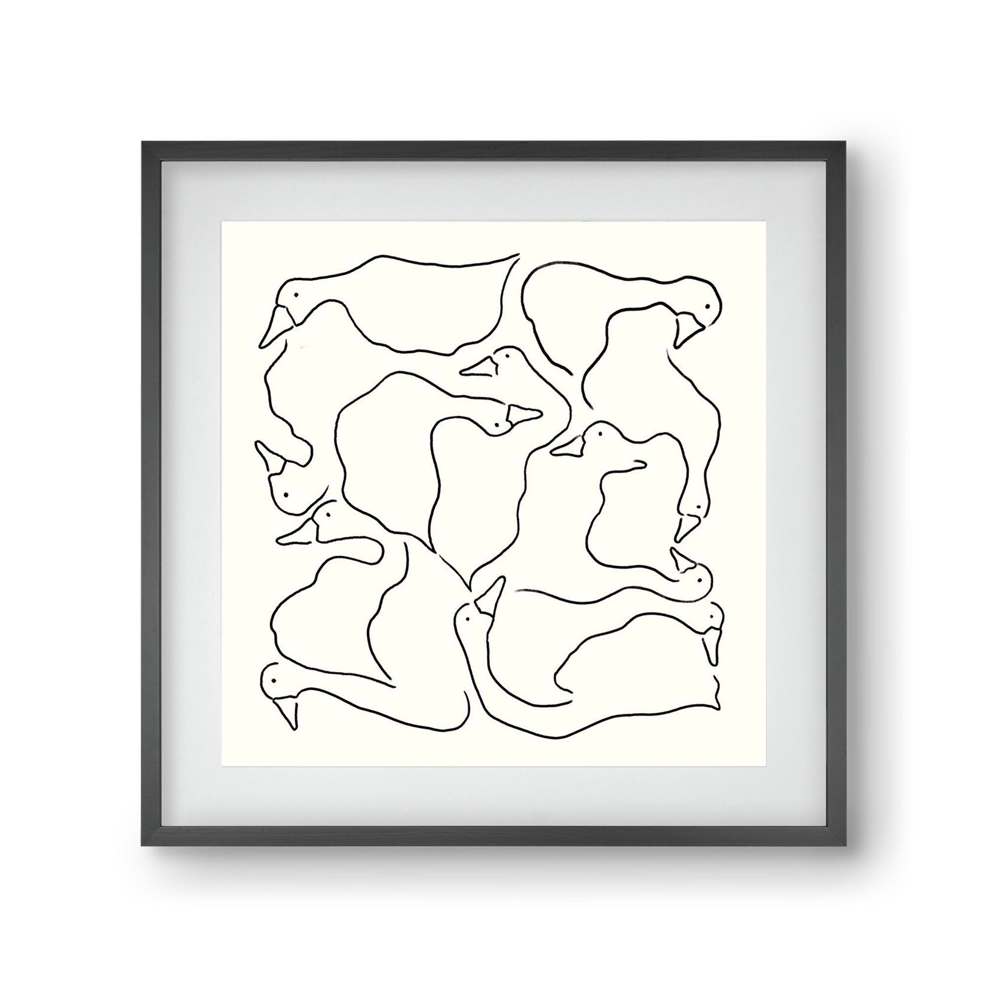 Duck Duck Goose in black and white, 30x30 cm (20x20 cm), Fekete keret, paszpartuval