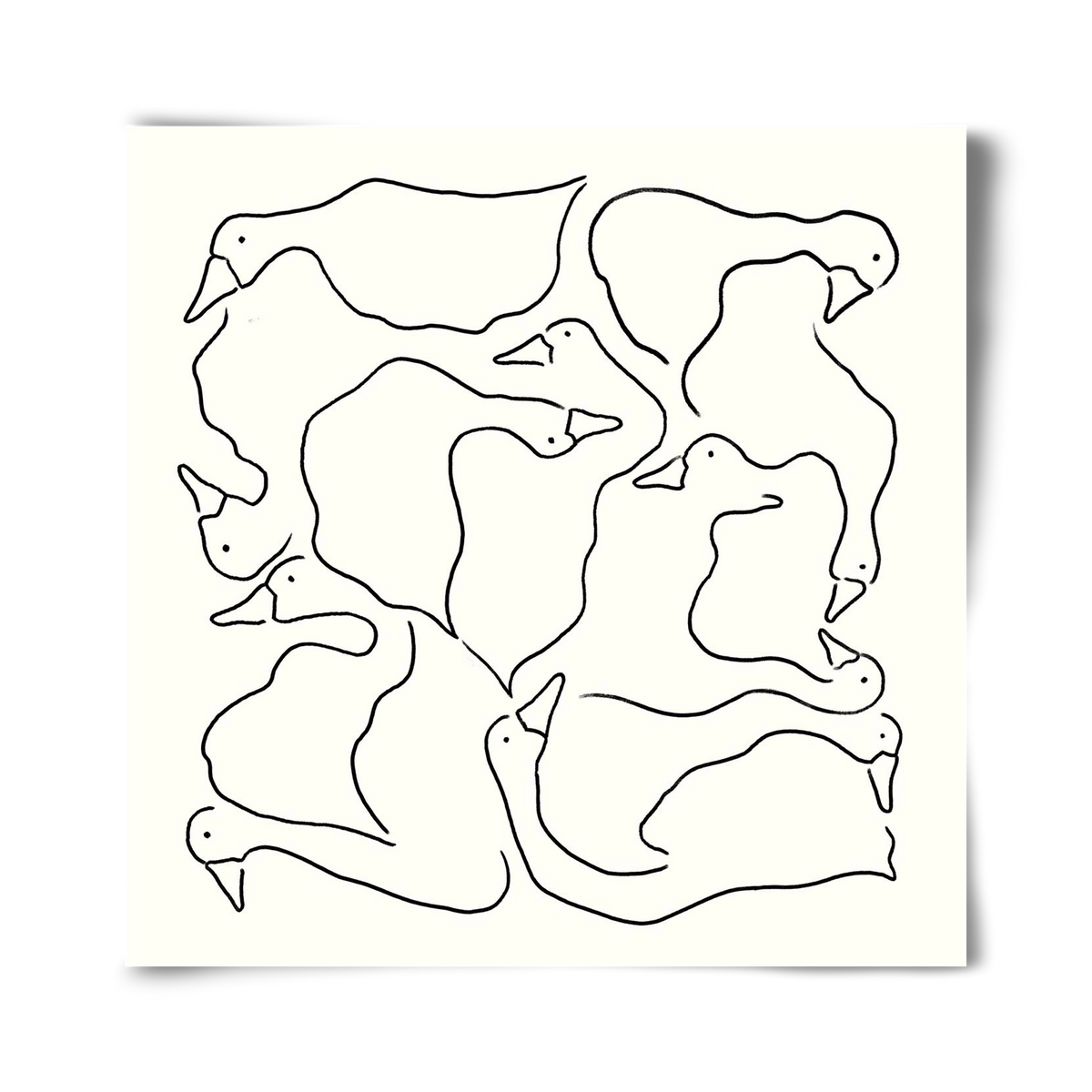 Duck Duck Goose in black and white, 40x40 cm, Keret nélkül