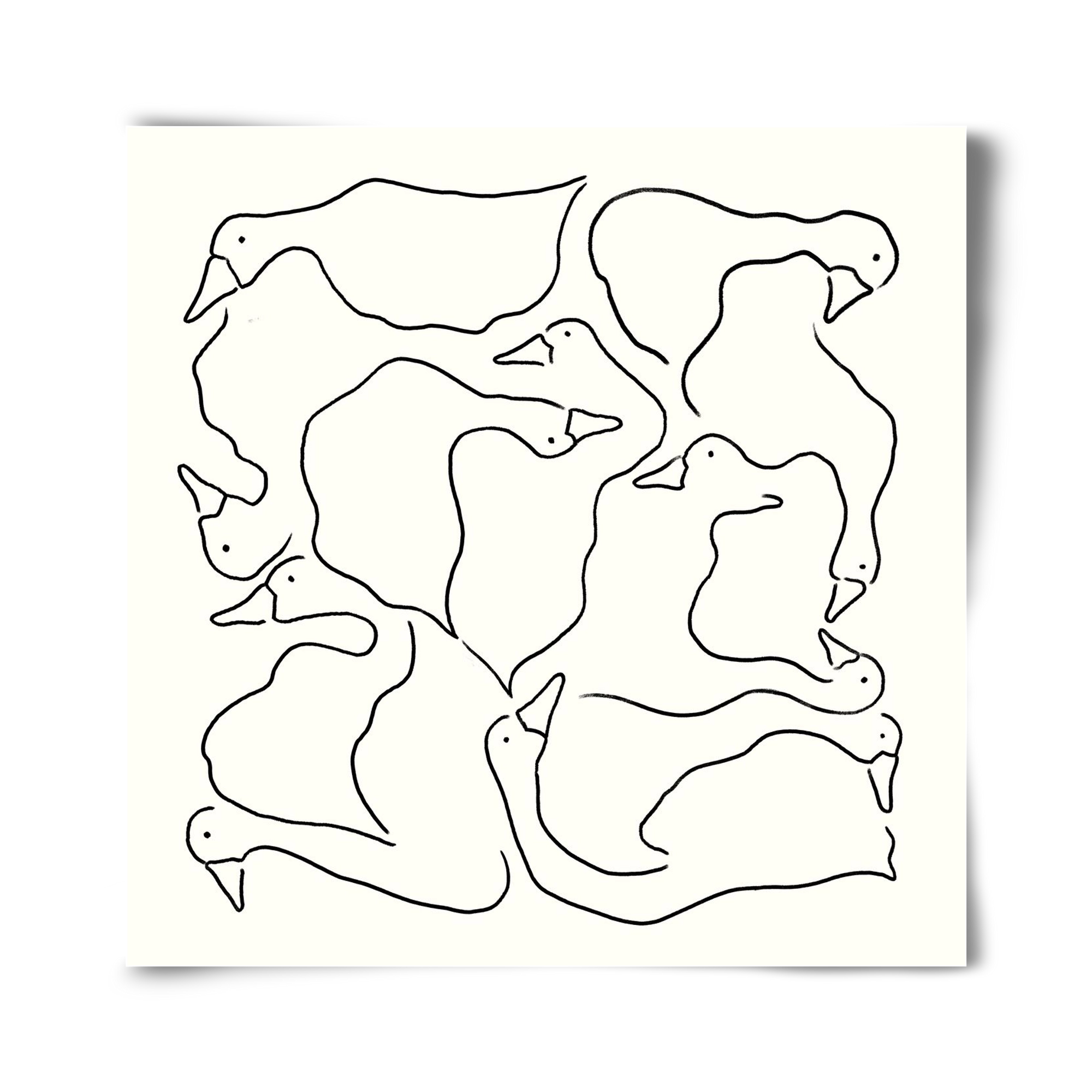 Duck Duck Goose in black and white, 40x40 cm, Keret nélkül