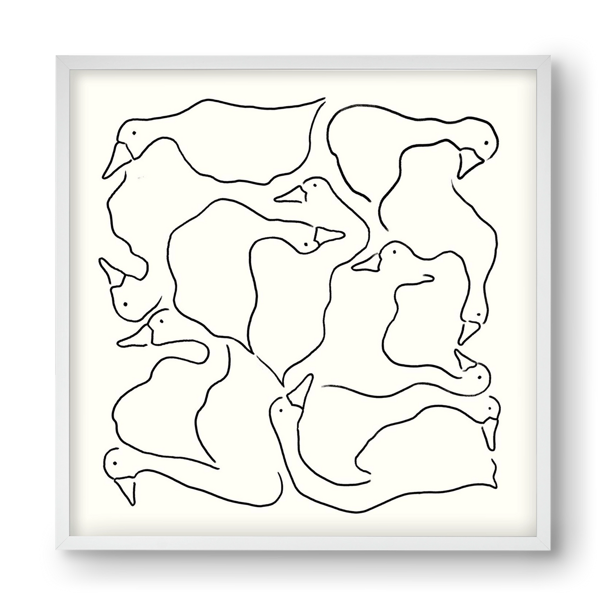 Duck Duck Goose in black and white, 40x40 cm (40x40 cm), Fehér keret