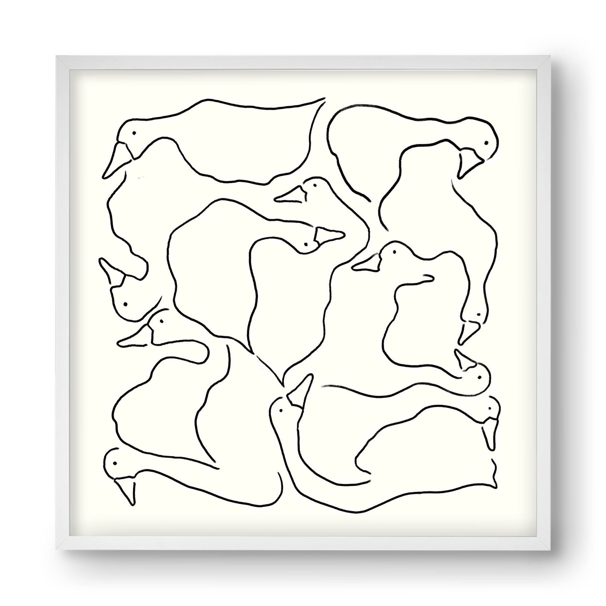 Duck Duck Goose in black and white, 40x40 cm (40x40 cm), Fehér keret