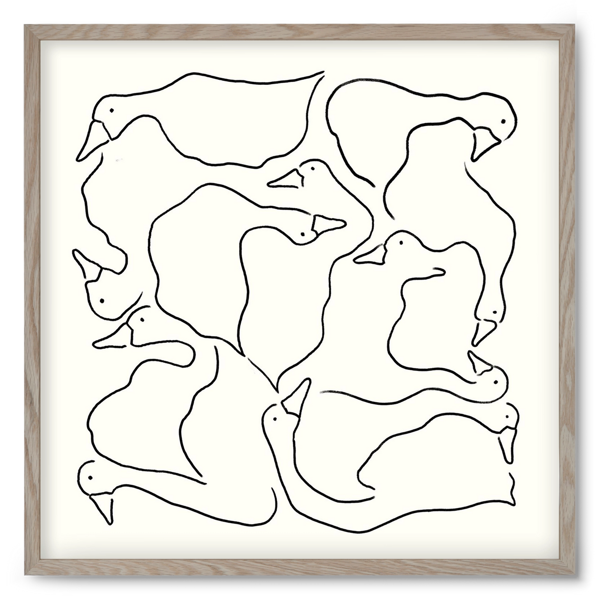 Duck Duck Goose in black and white, 50x50 cm (50x50 cm), Tölgy keret