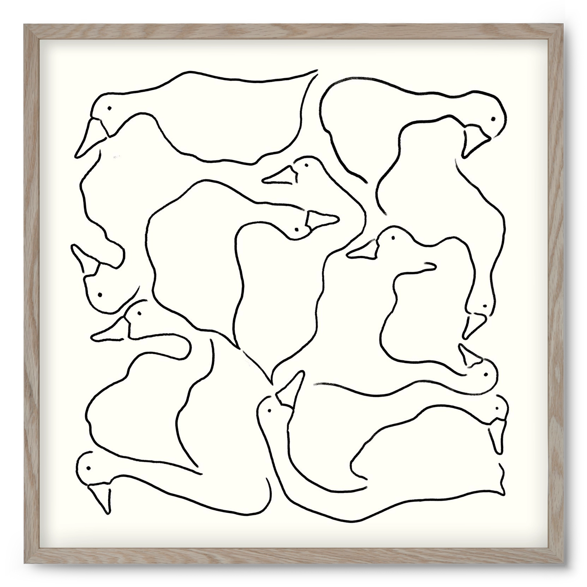 Duck Duck Goose in black and white, 50x50 cm (50x50 cm), Tölgy keret