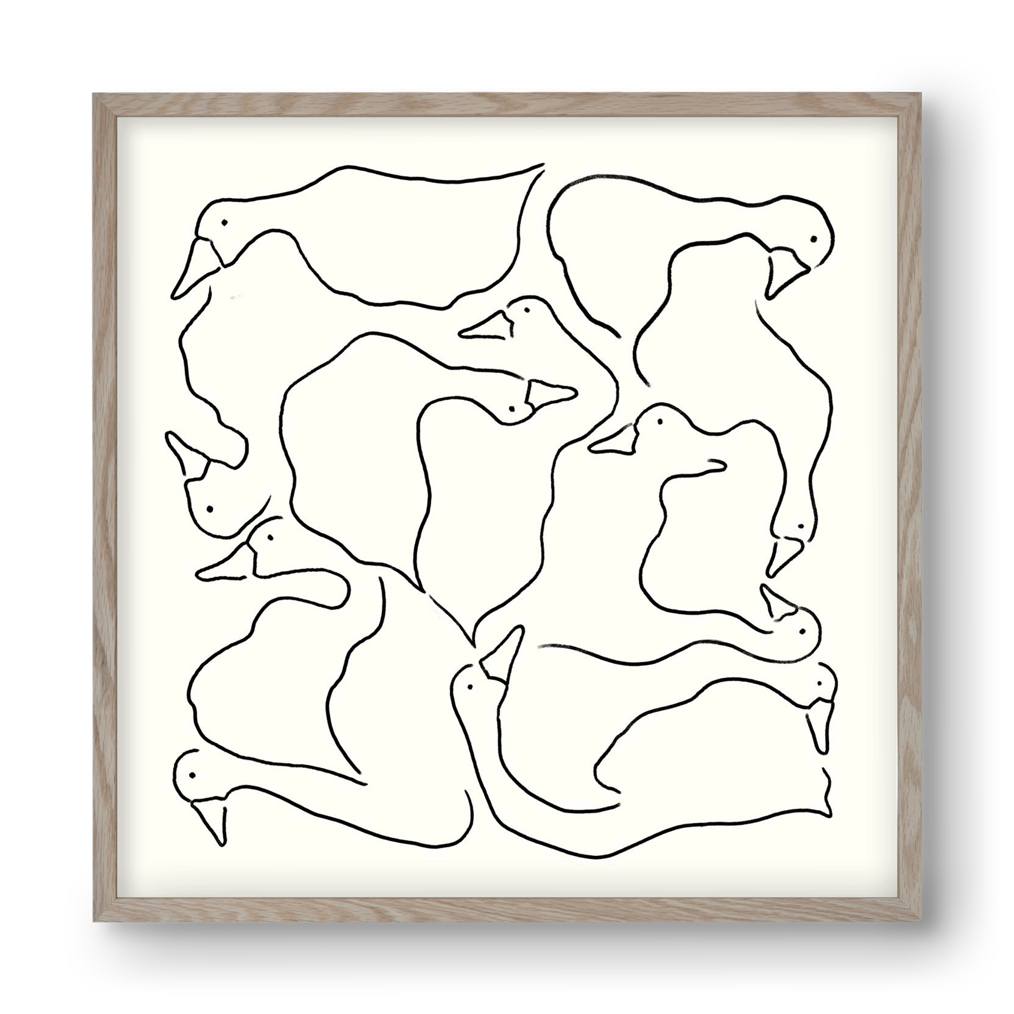 Duck Duck Goose in black and white, 40x40 cm (40x40 cm), Tölgy keret