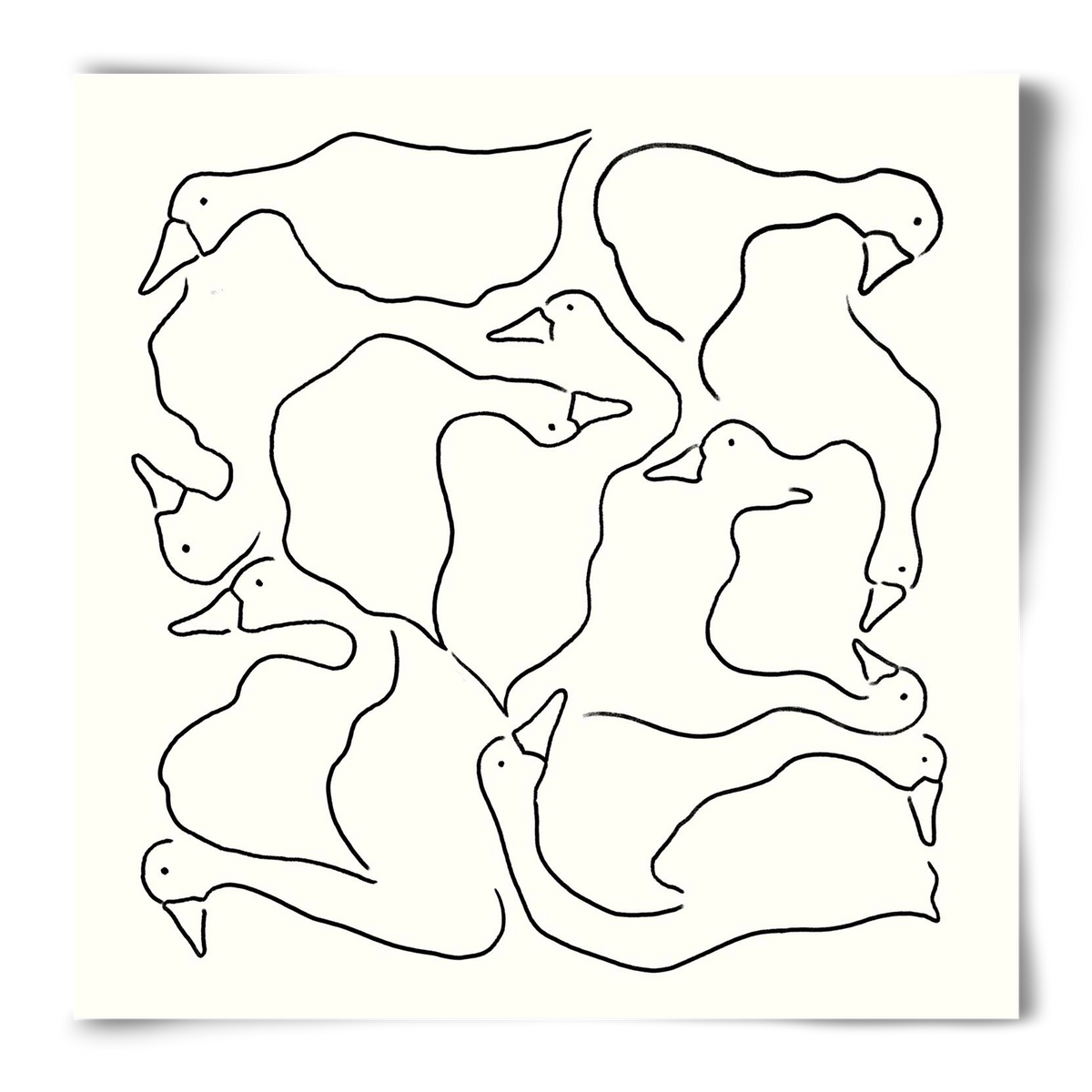 Duck Duck Goose in black and white, 50x50 cm, Keret nélkül