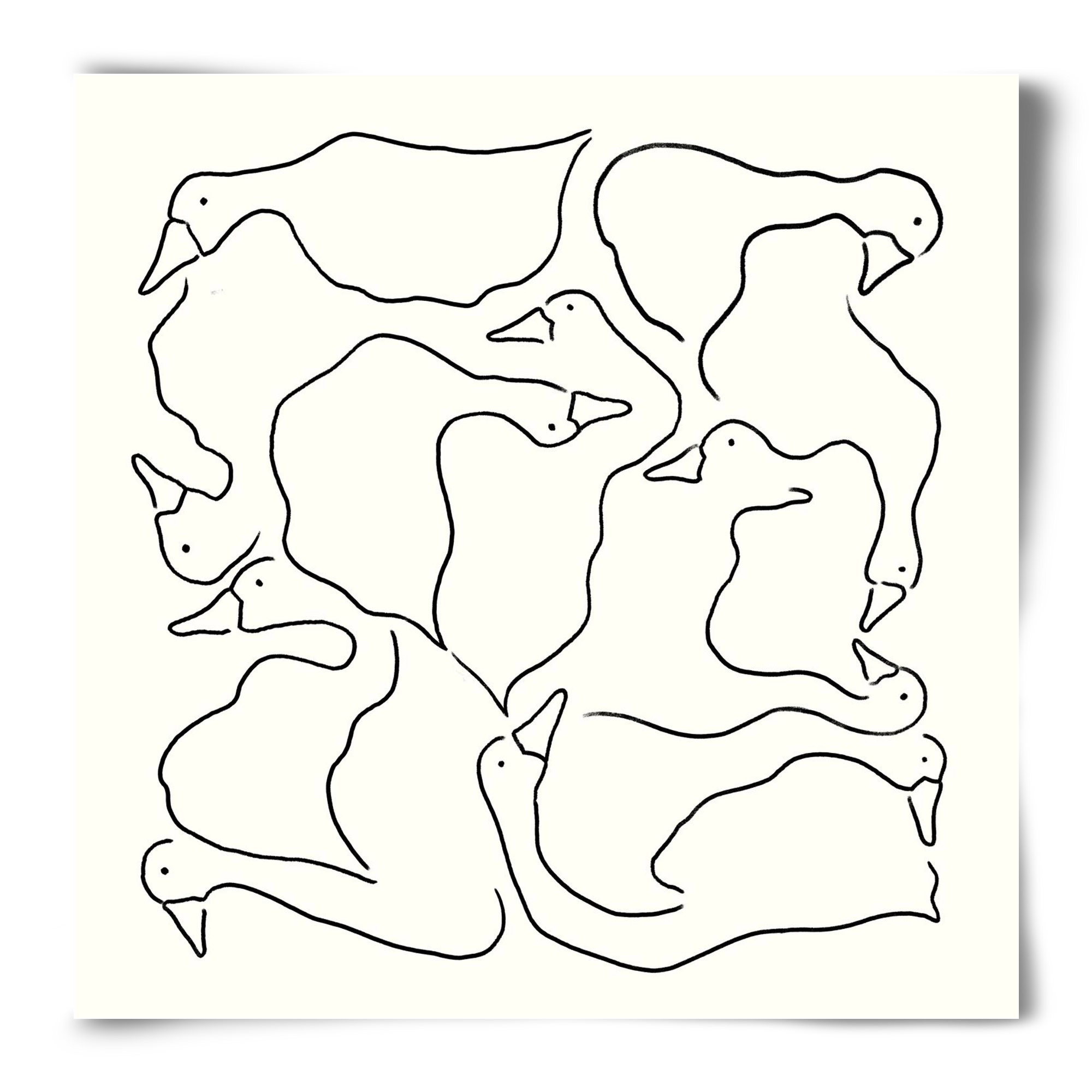 Duck Duck Goose in black and white, 50x50 cm, Keret nélkül
