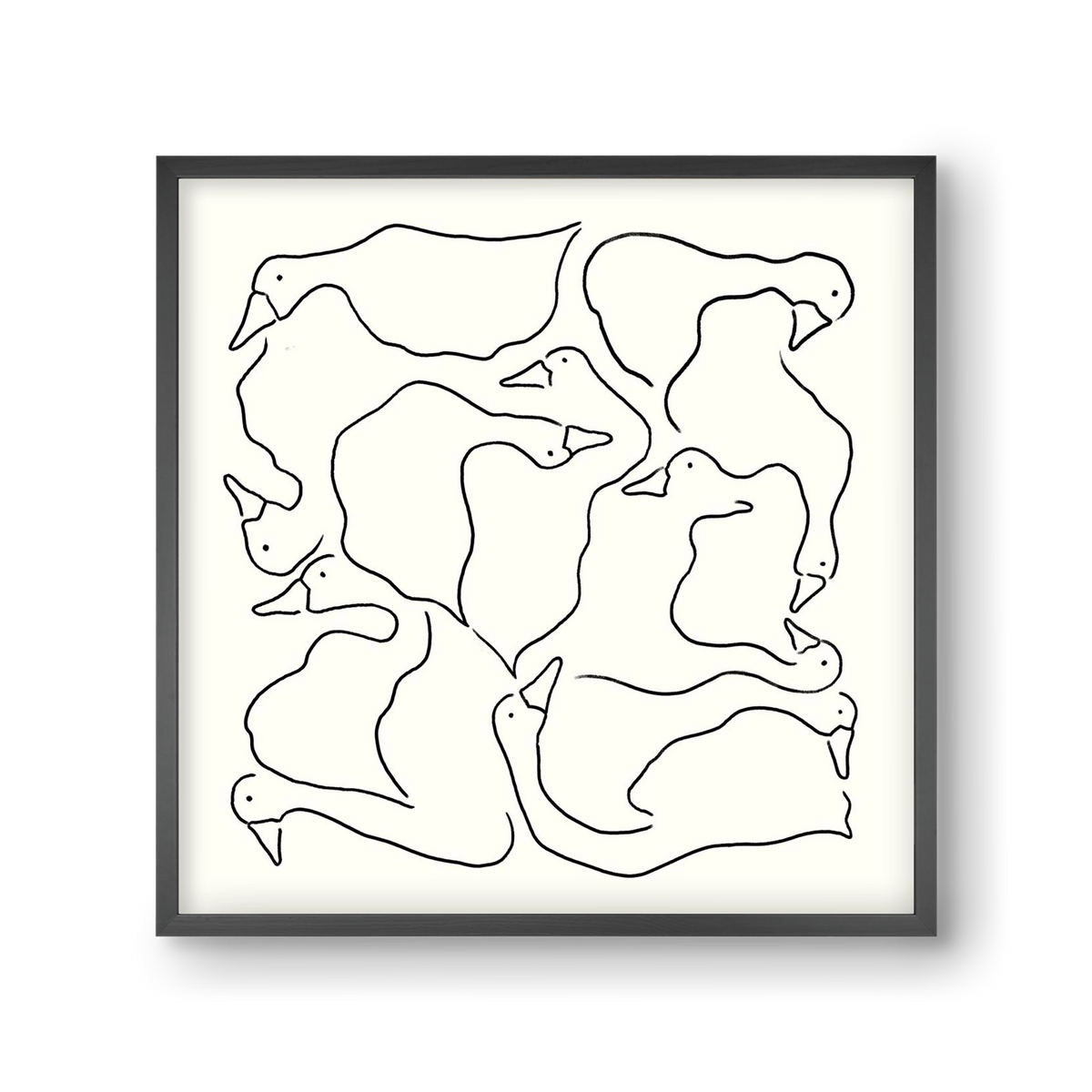 Duck Duck Goose in black and white, 30x30 cm (30x30 cm), Fekete keret