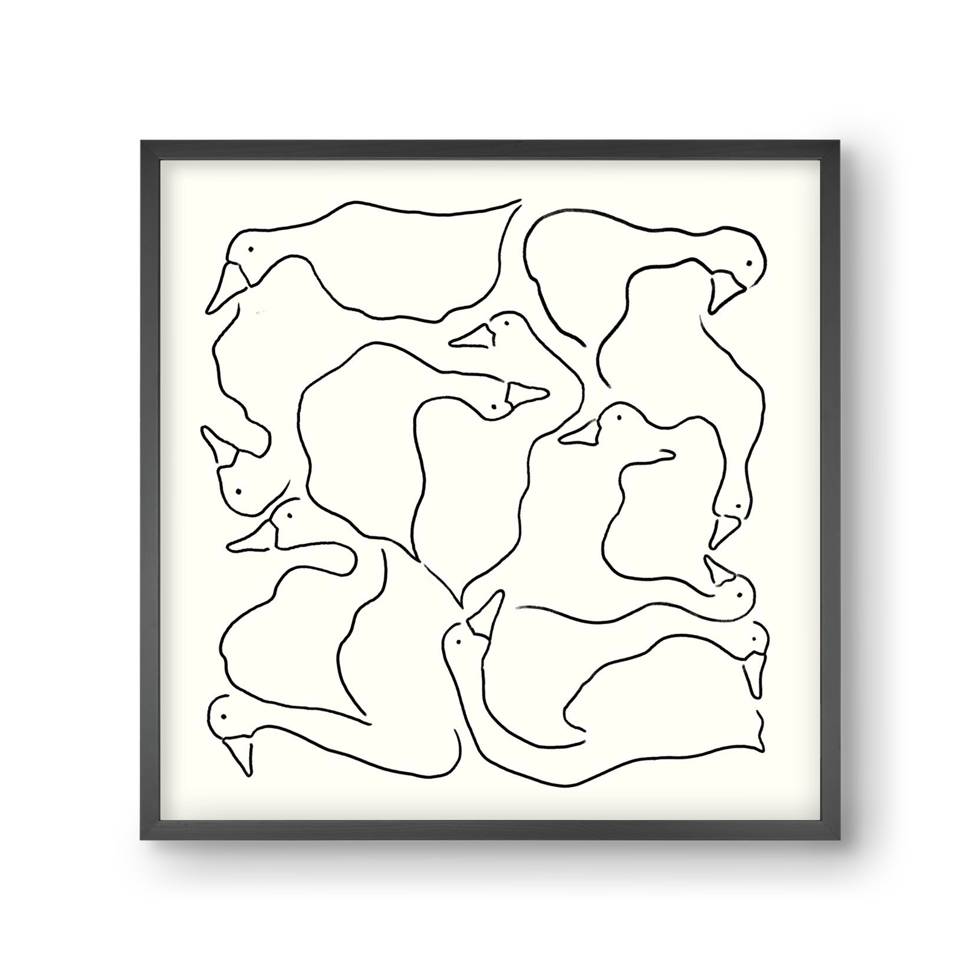Duck Duck Goose in black and white, 30x30 cm (30x30 cm), Fekete keret