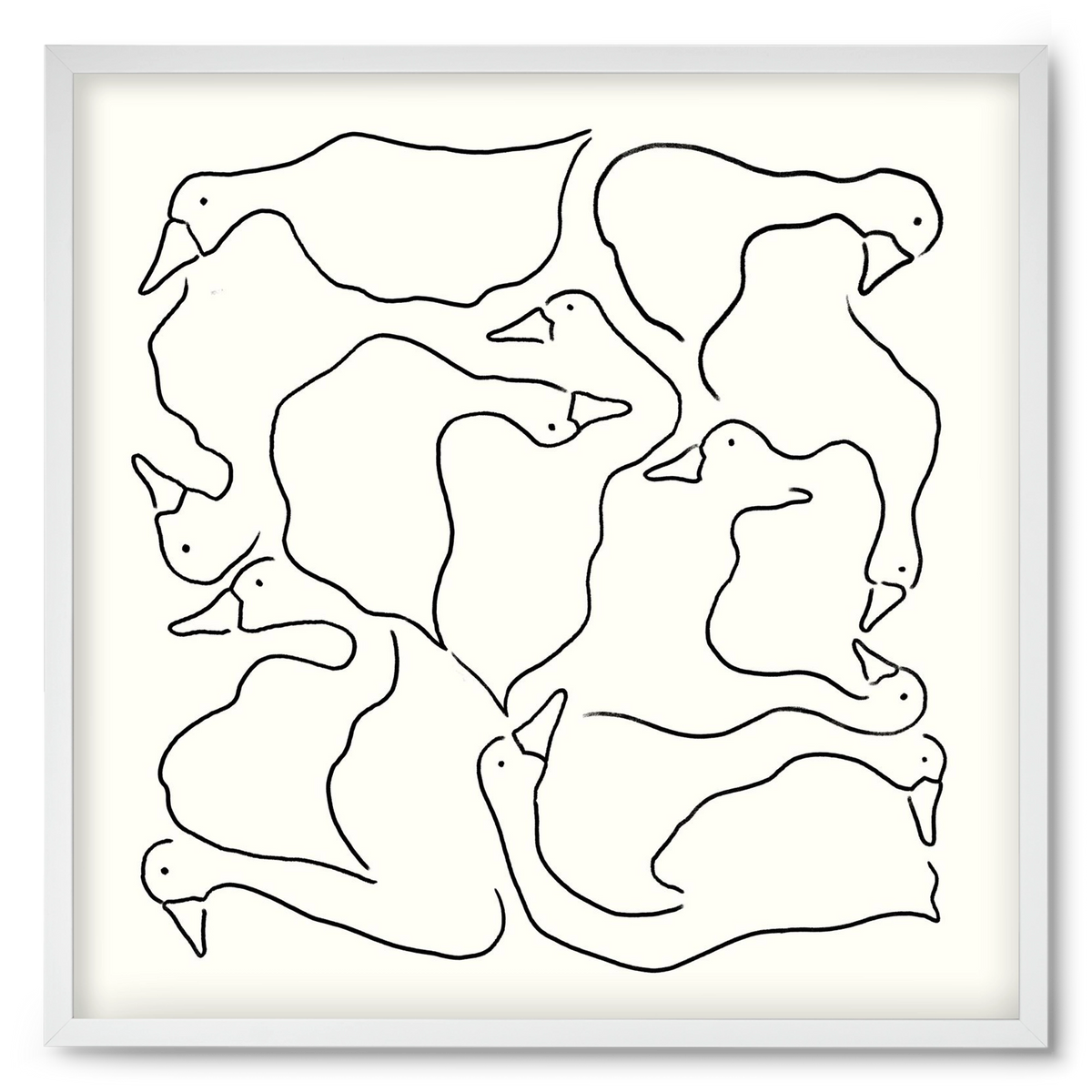 Duck Duck Goose in black and white, 50x50 cm (50x50 cm), Fehér keret