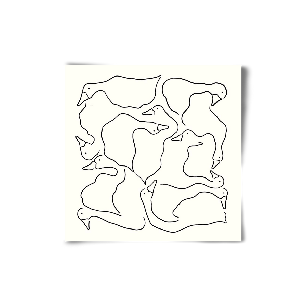 Duck Duck Goose in black and white, 20x20 cm, Keret nélkül
