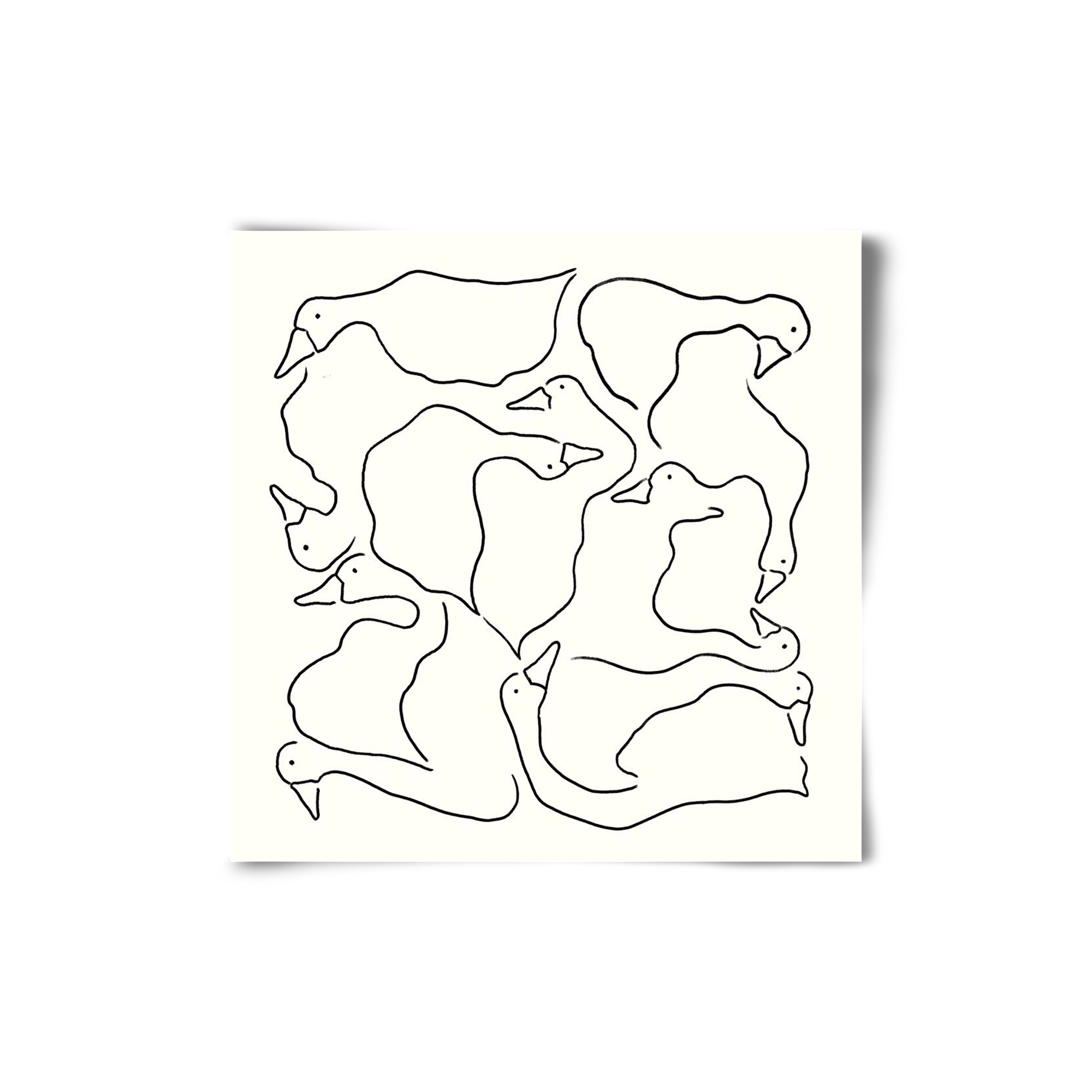 Duck Duck Goose in black and white, 20x20 cm, Keret nélkül