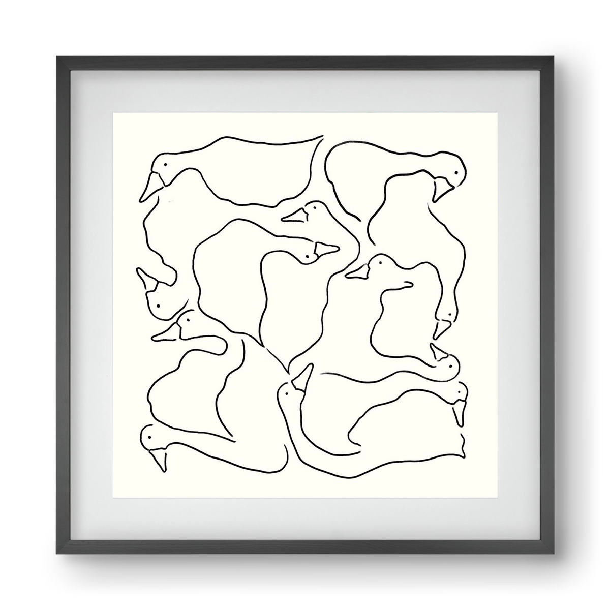 Duck Duck Goose in black and white, 40x40 cm (30x30 cm), Fekete keret, paszpartuval
