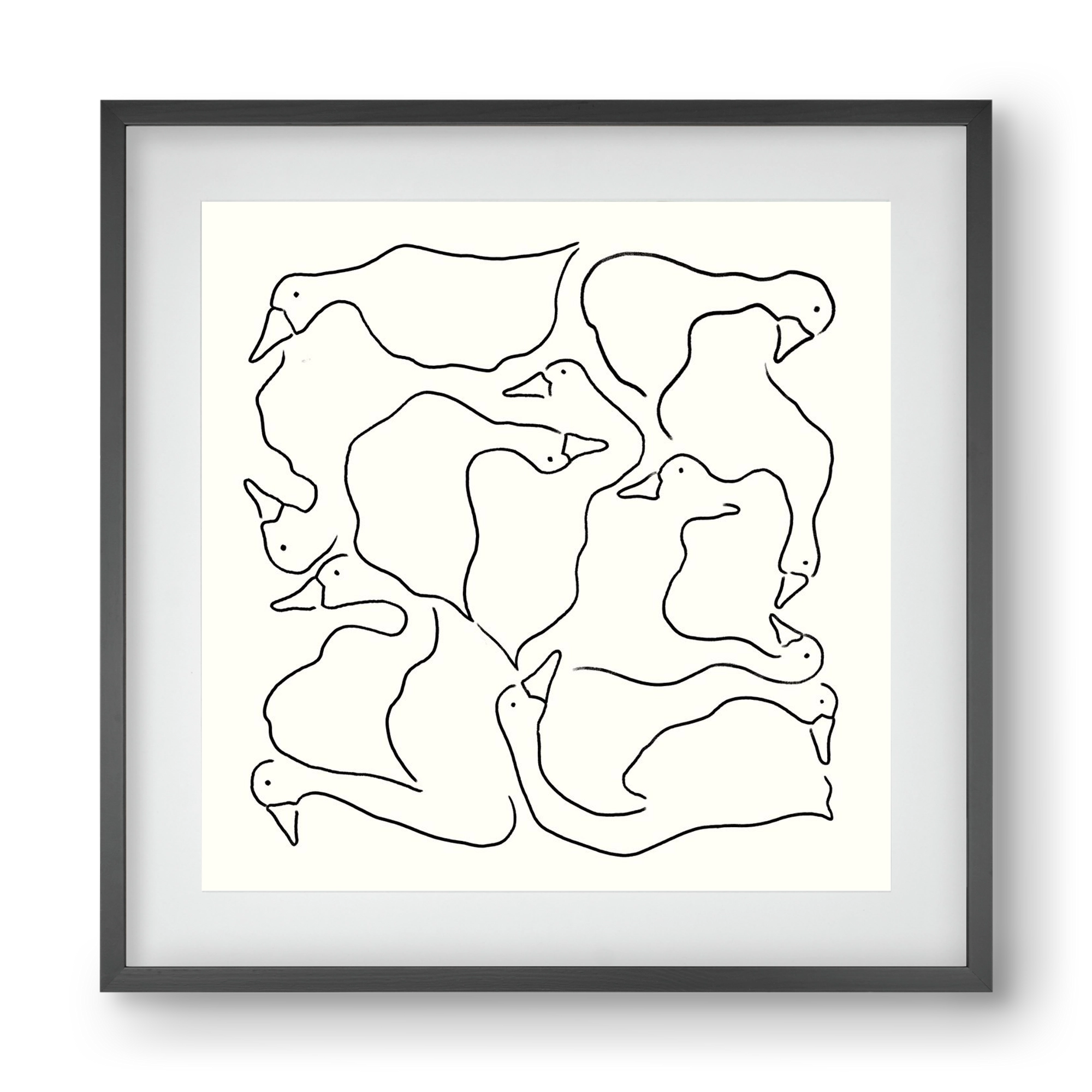 Duck Duck Goose in black and white, 40x40 cm (30x30 cm), Fekete keret, paszpartuval
