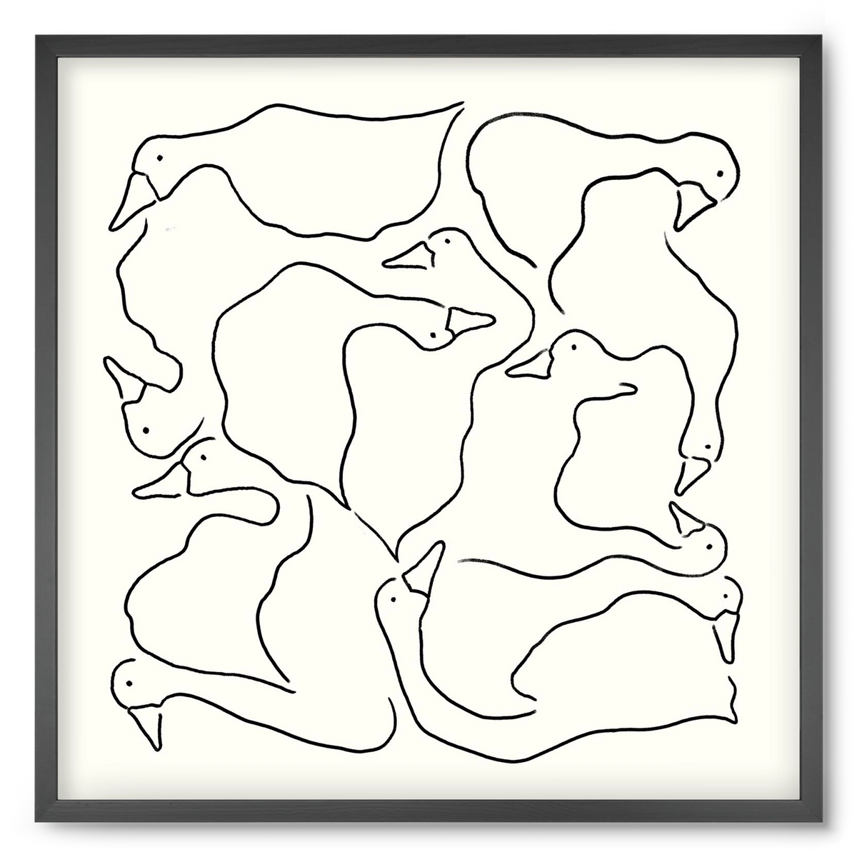 Duck Duck Goose in black and white, 50x50 cm (50x50 cm), Fekete keret