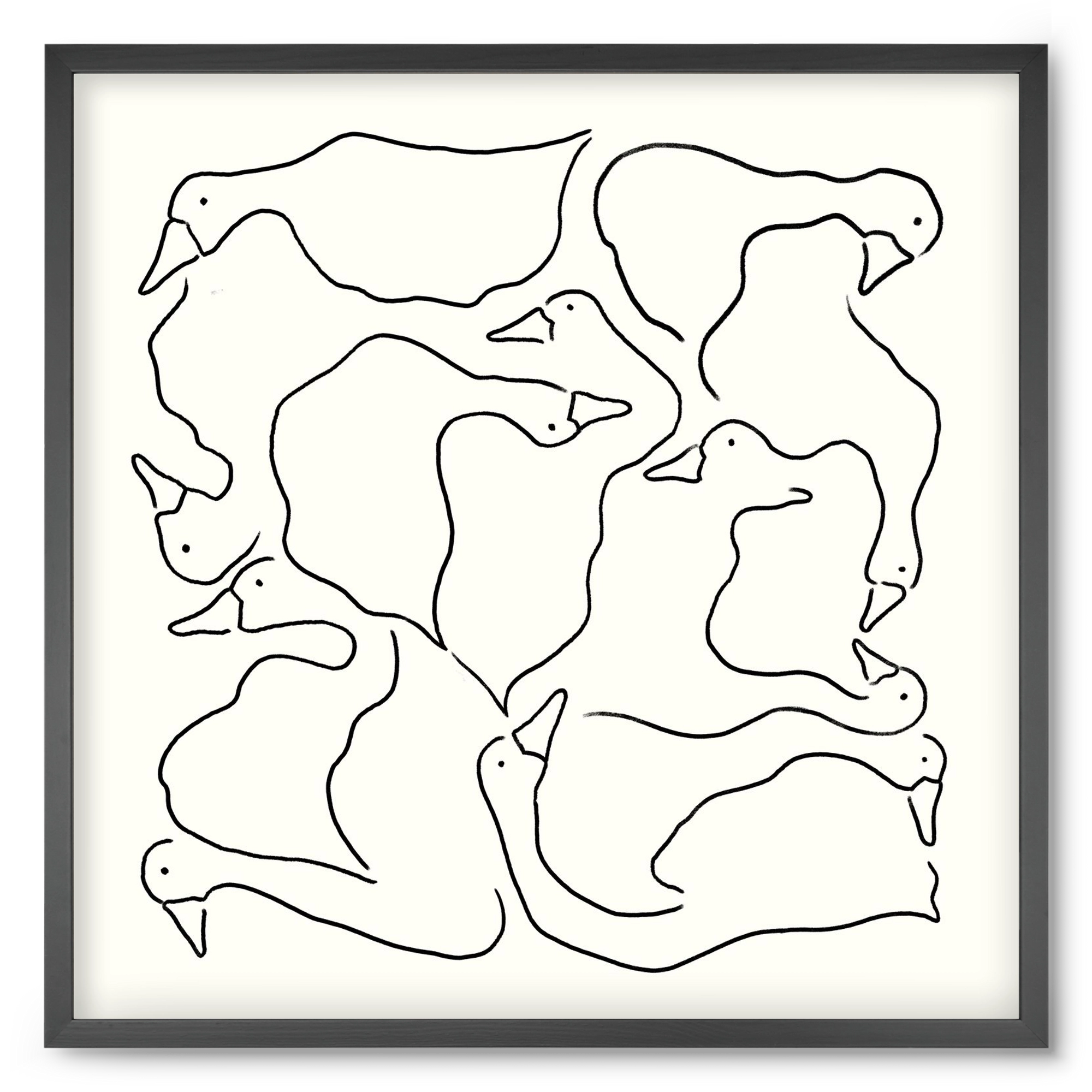 Duck Duck Goose in black and white, 50x50 cm (50x50 cm), Fekete keret