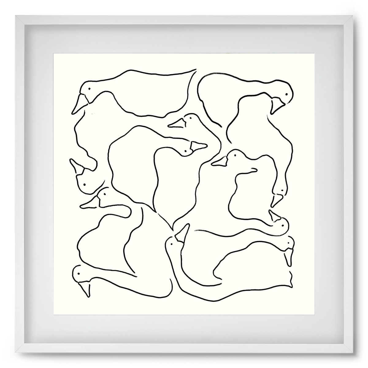Duck Duck Goose in black and white, 50x50 cm (40x40 cm), Fehér keret, paszpartuval