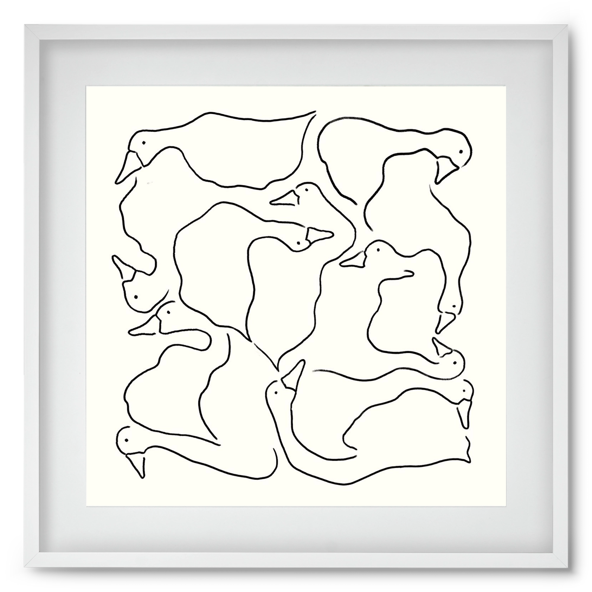 Duck Duck Goose in black and white, 50x50 cm (40x40 cm), Fehér keret, paszpartuval
