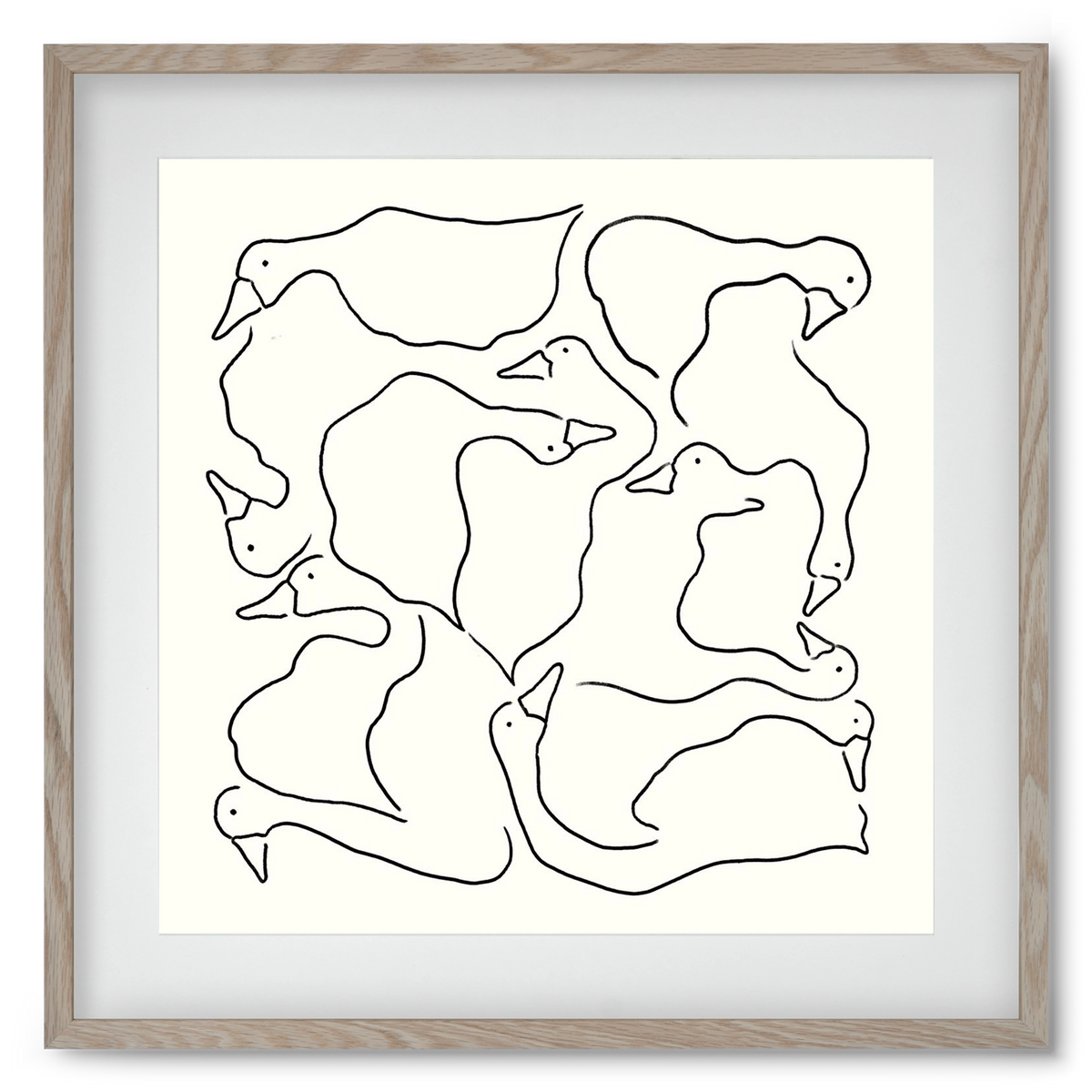 Duck Duck Goose in black and white, 50x50 cm (40x40 cm), Tölgy keret, paszpartuval