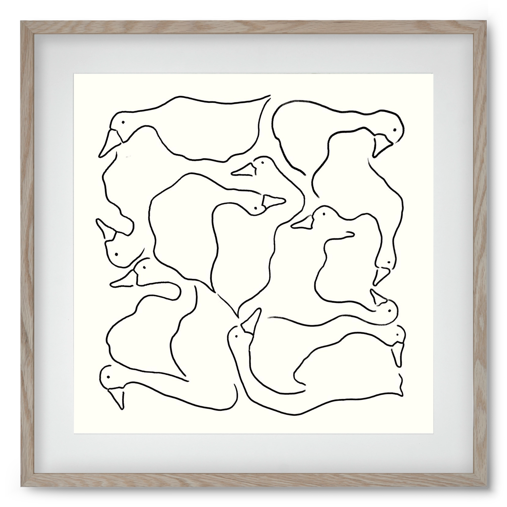 Duck Duck Goose in black and white, 50x50 cm (40x40 cm), Tölgy keret, paszpartuval