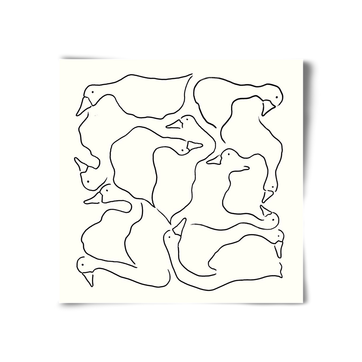 Duck Duck Goose in black and white, 30x30 cm, Keret nélkül